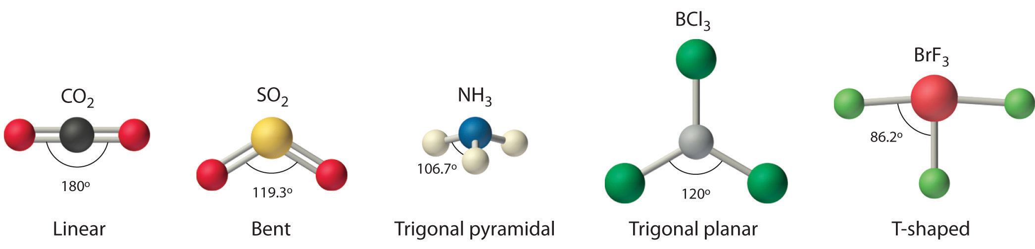 Predicting the Geometry of Molecules and Polyatomic Ions