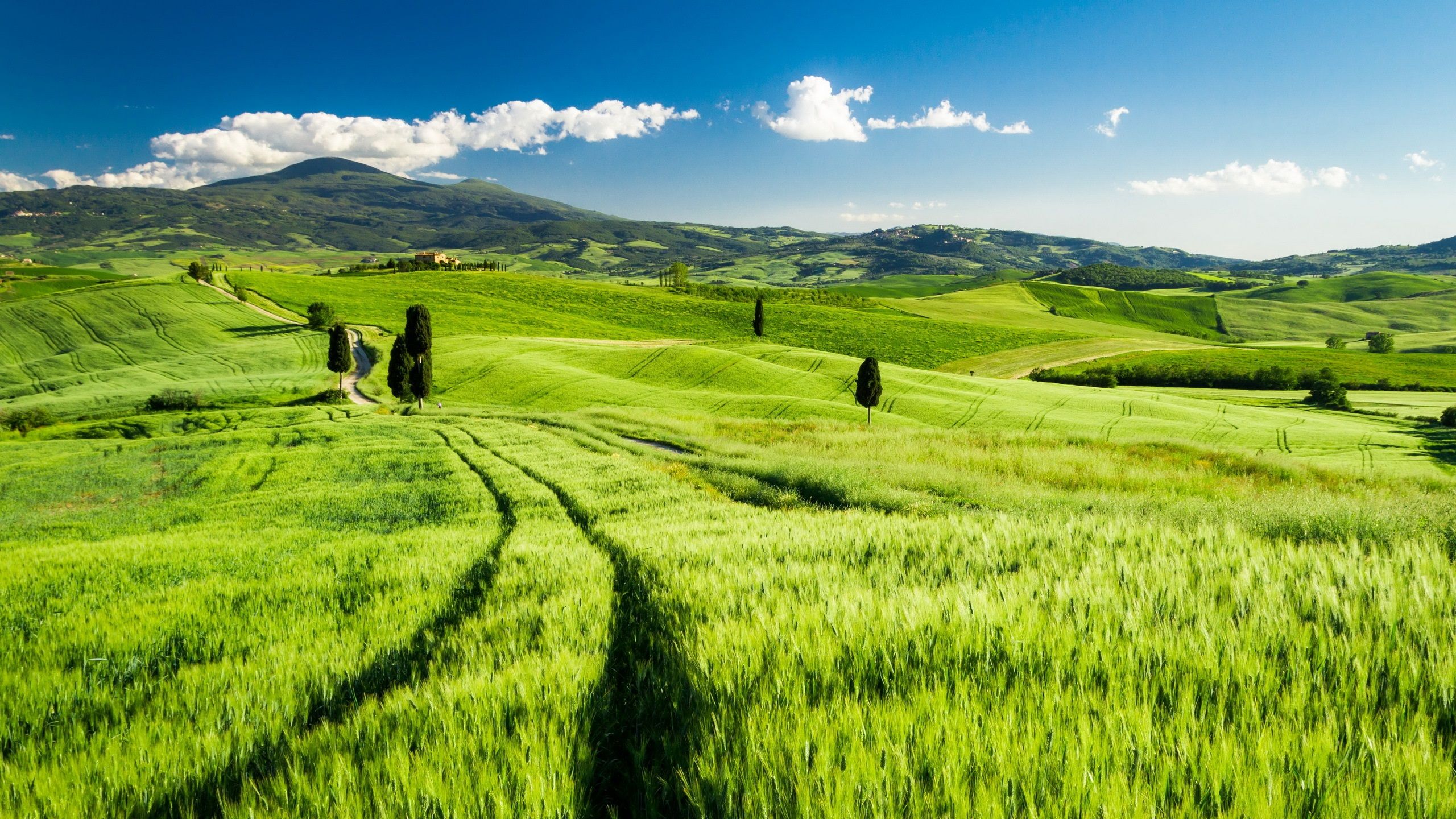 Wallpaper Tuscany, Italy, green fields, spring 2560x1440 QHD