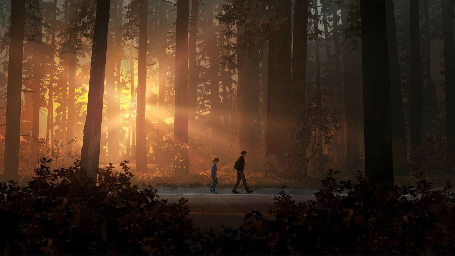 Life is Strange 2 HD Wallpaper and Background Image