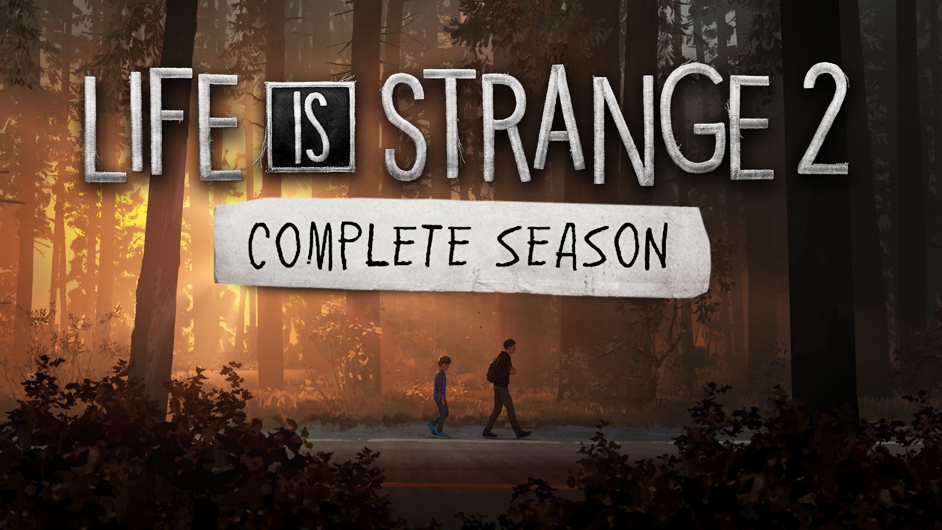 Life is Strange 2 Complete Season. PC Steam Game