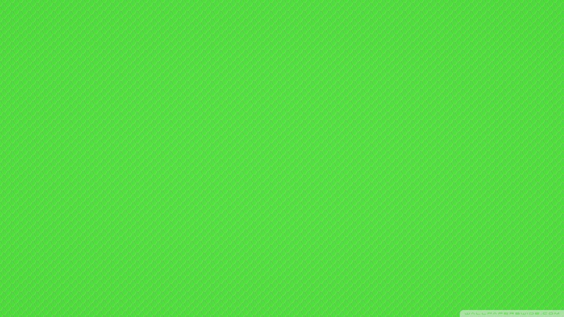 Plain Green Wallpaper Free Plain Green Background
