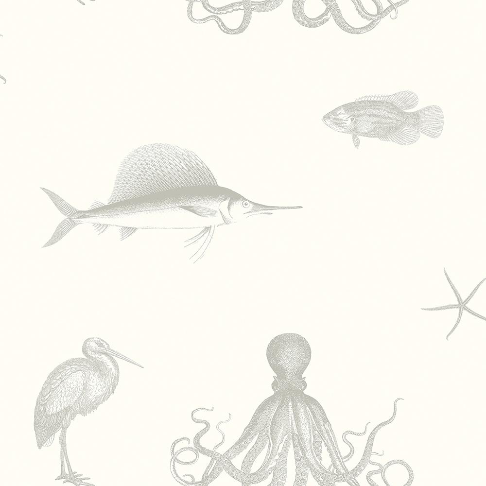 Chesapeake Oceania Grey Sea Creature Wallpaper Sample 3113