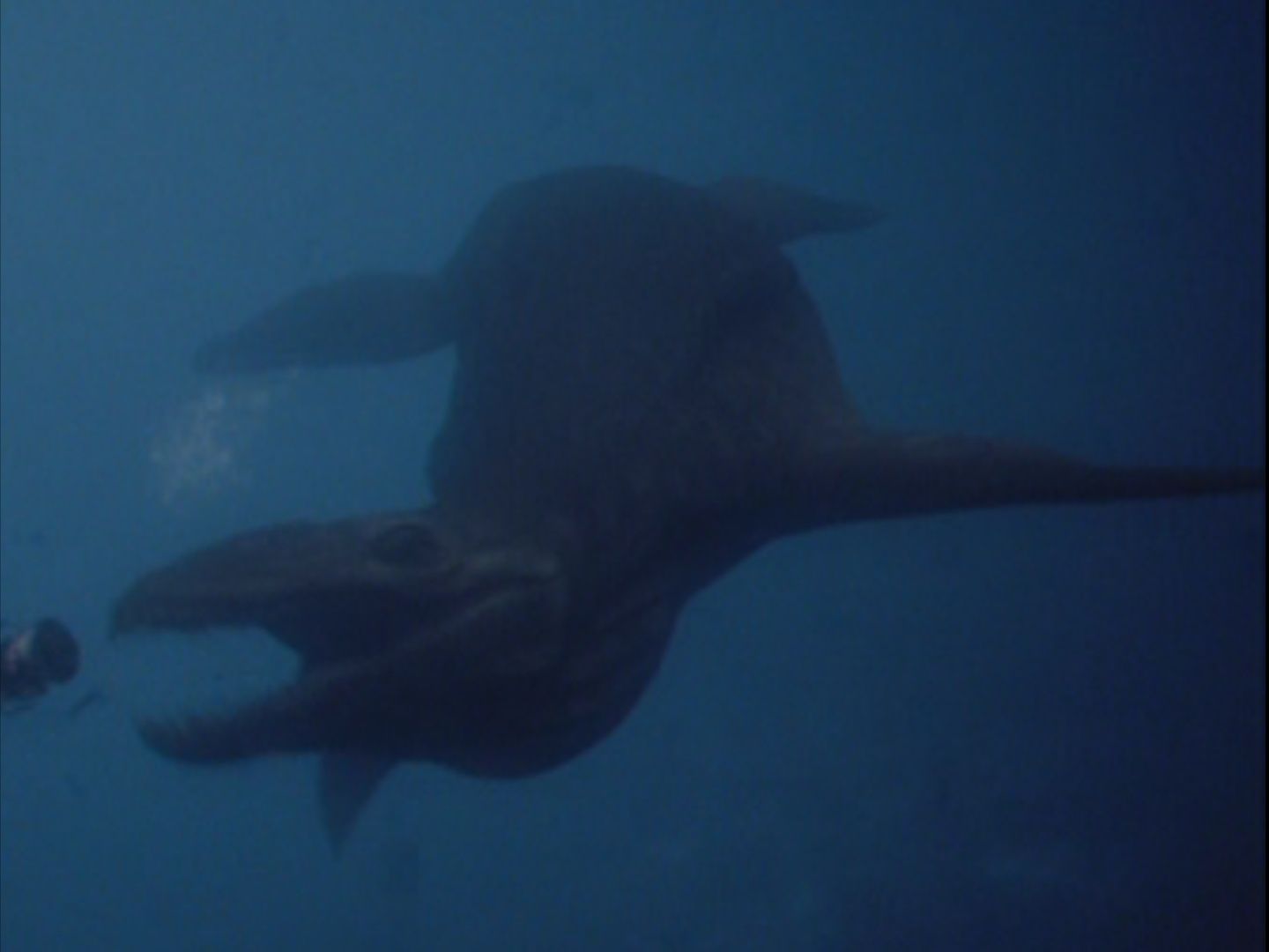 Liopleurodon. Anomaly Research Centre