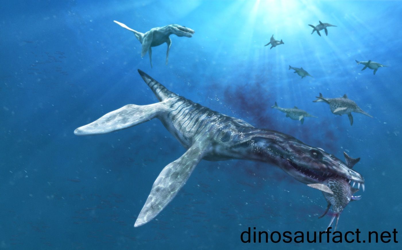 Liopleurodon dinosaur