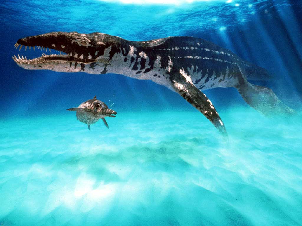 Liopleurodon Wallpaper. Liopleurodon