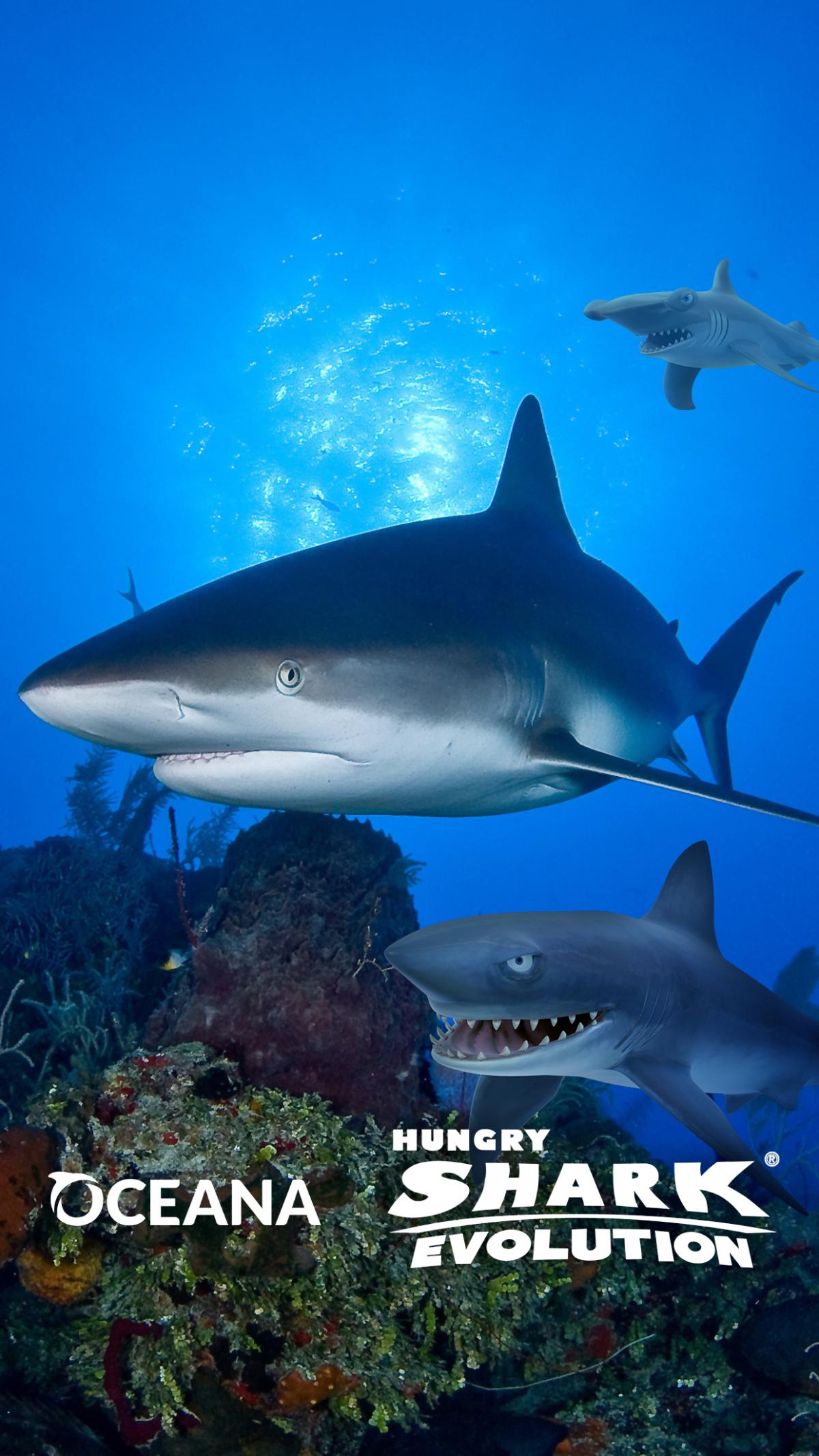 Thank you for helping to protect our oceans, Hungry Shark