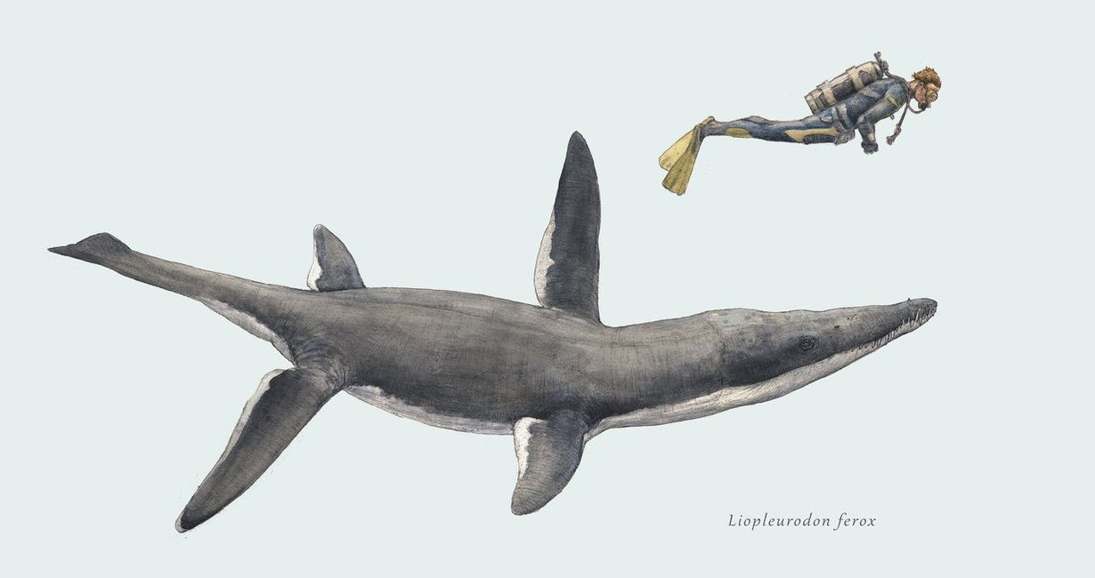Liopleurodon