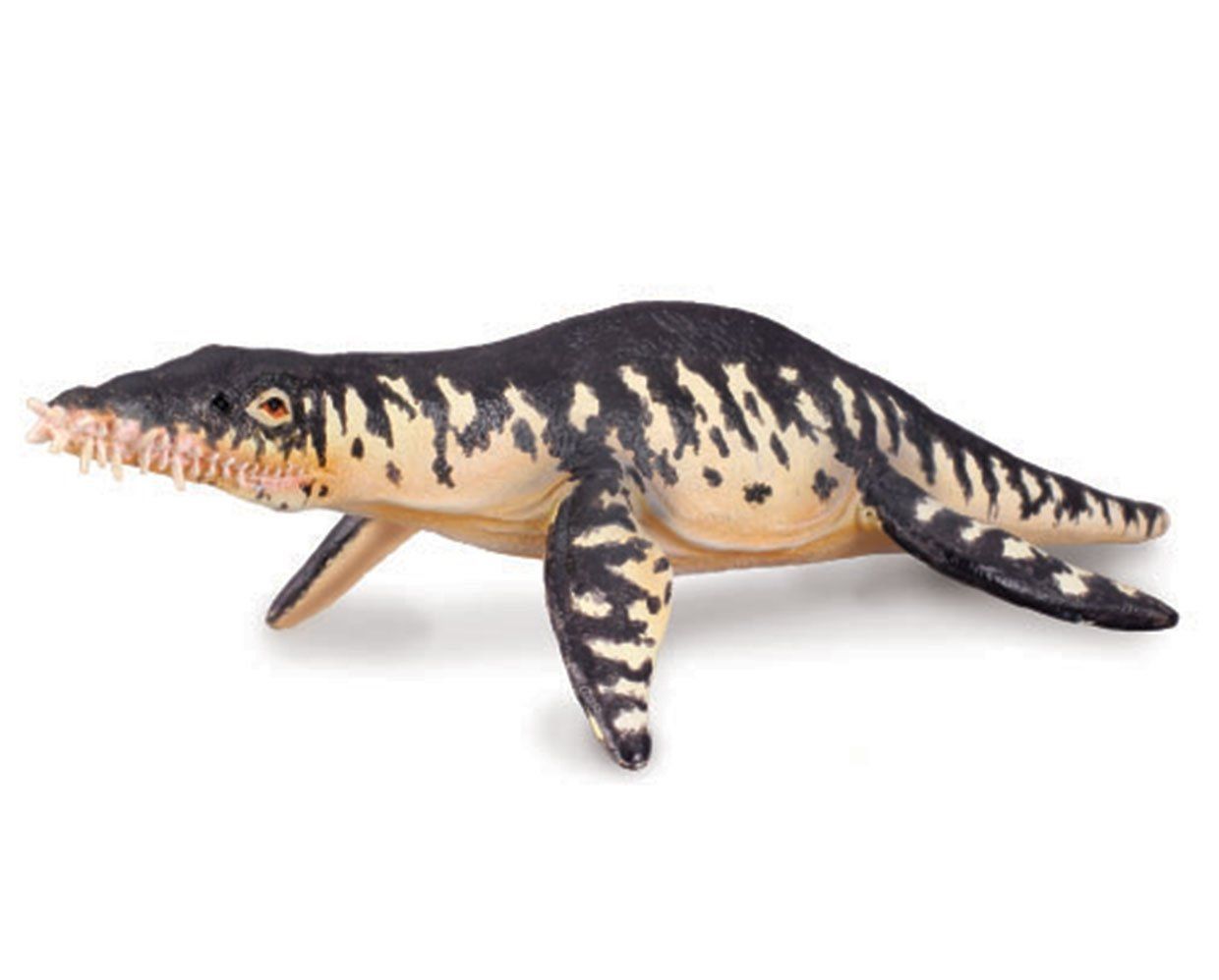 Liopleurodon