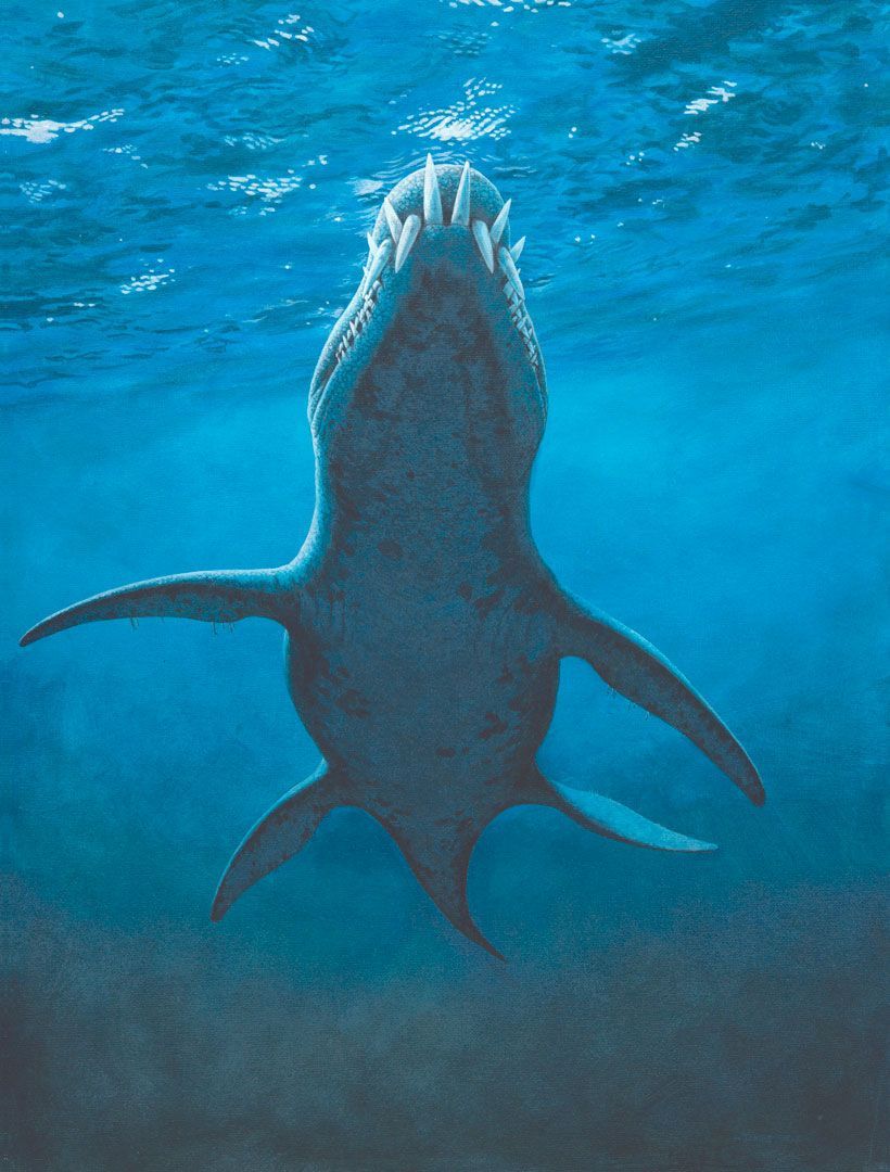 Exceptional Dinosaur Liopleurodon