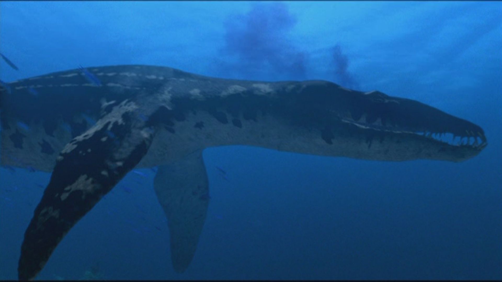 Liopleurodon Wallpapers Wallpaper Cave