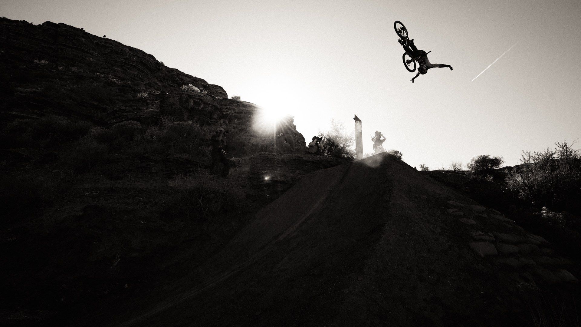 Red Bull Ram In Photo