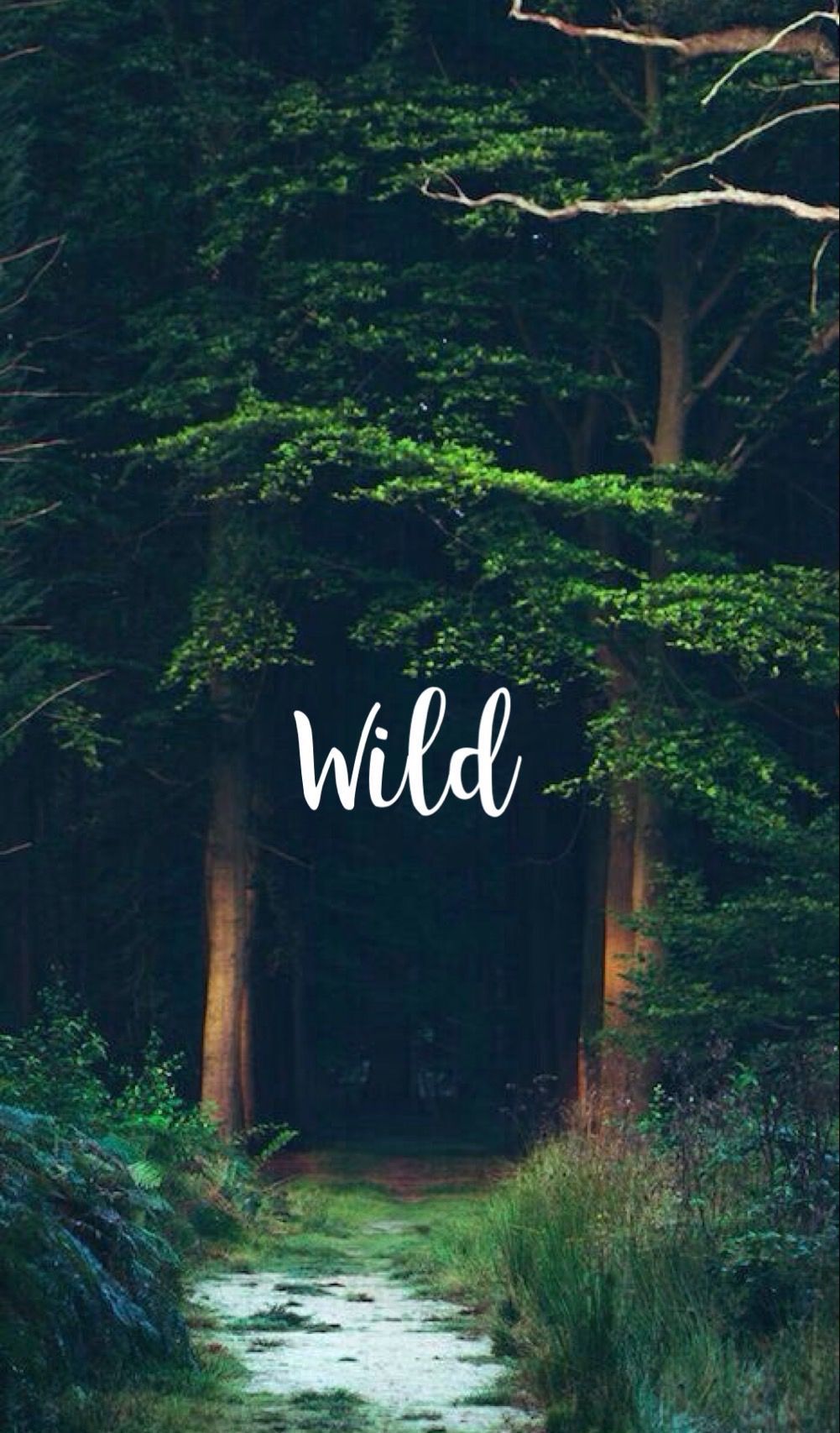 Step out into the wild today, its fabulous for the mind, body