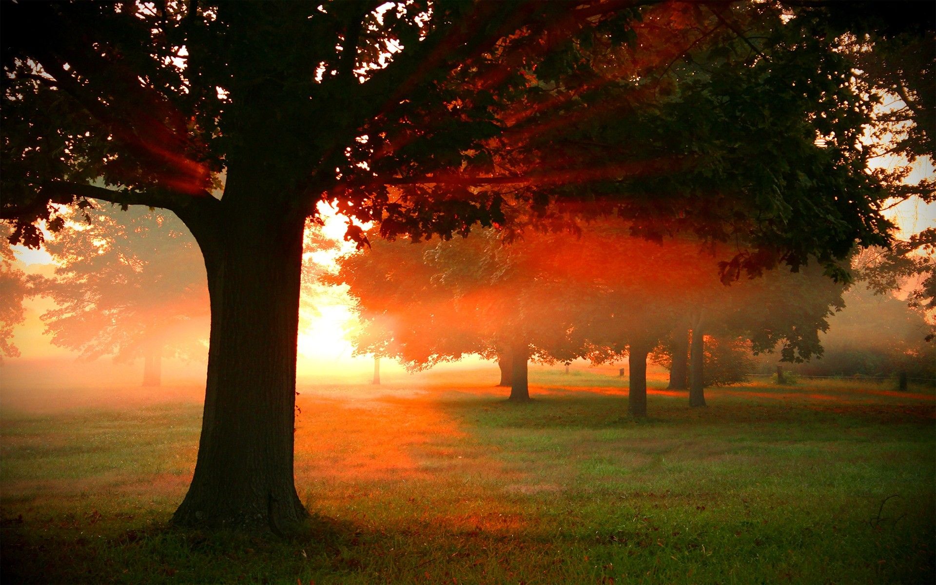 dawn-of-light-wallpapers-wallpaper-cave