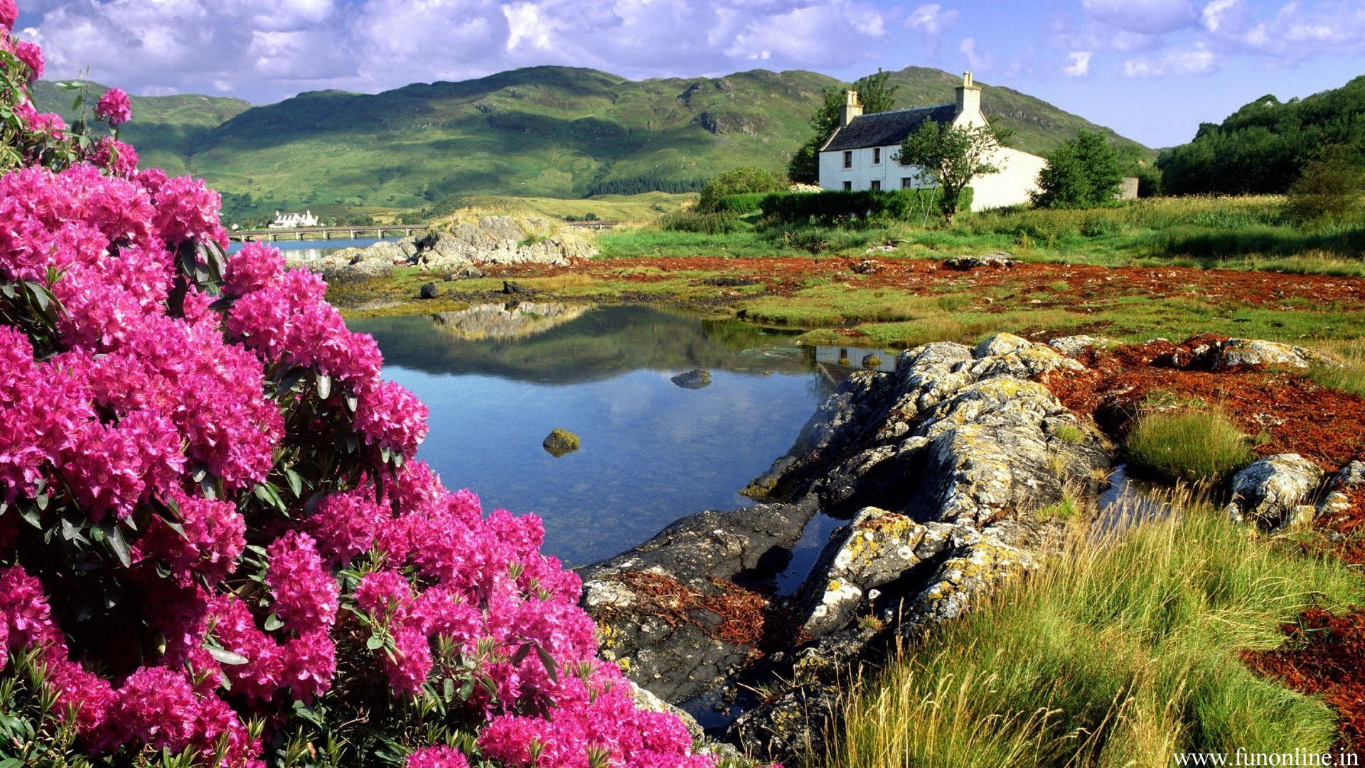 Spring in Ireland Wallpaper