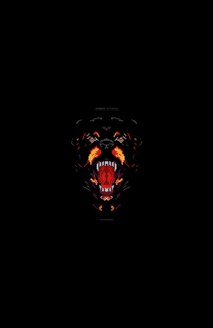 Givenchy rottweiler wallpaper. Dogs, breeds and everything about