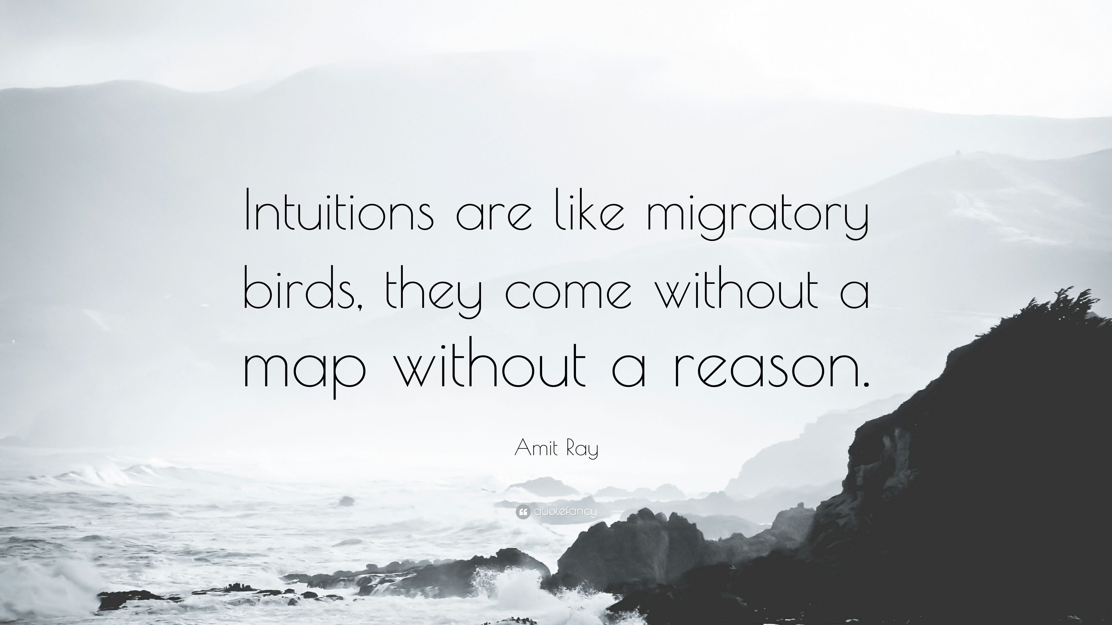 Amit Ray Quote: “Intuitions are like migratory birds, they come