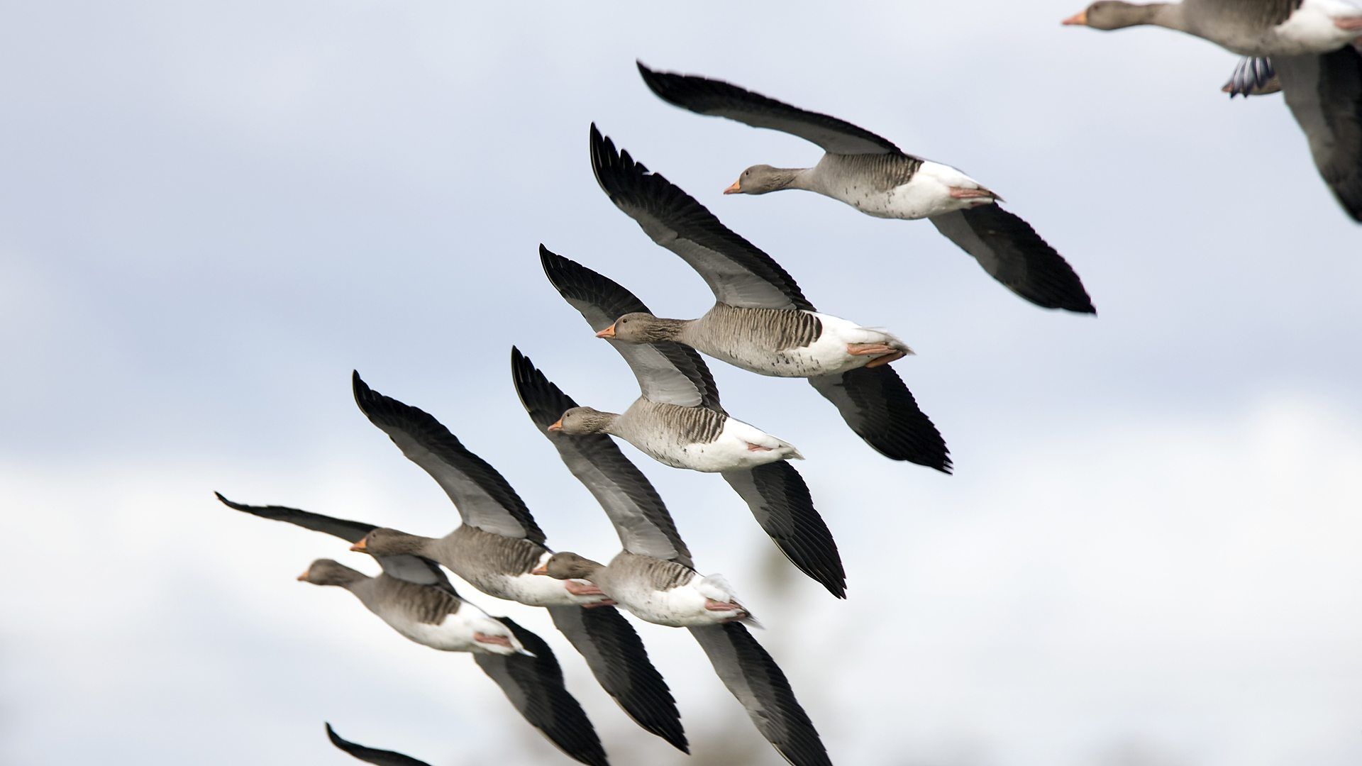 BBC Radio 4 Our Time flights: 13 amazing facts