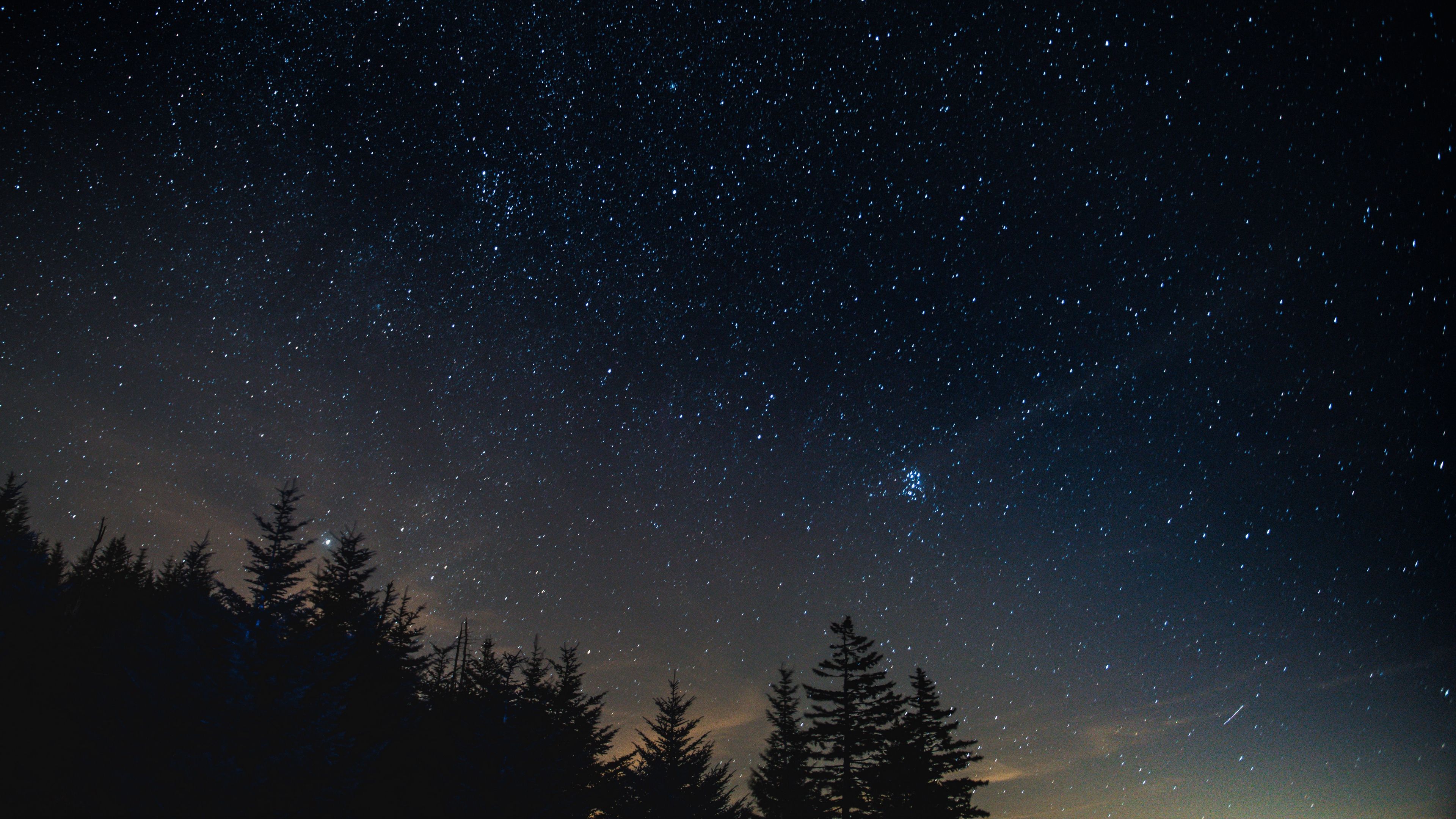 Download wallpaper 3840x2160 starry sky, night, trees, night