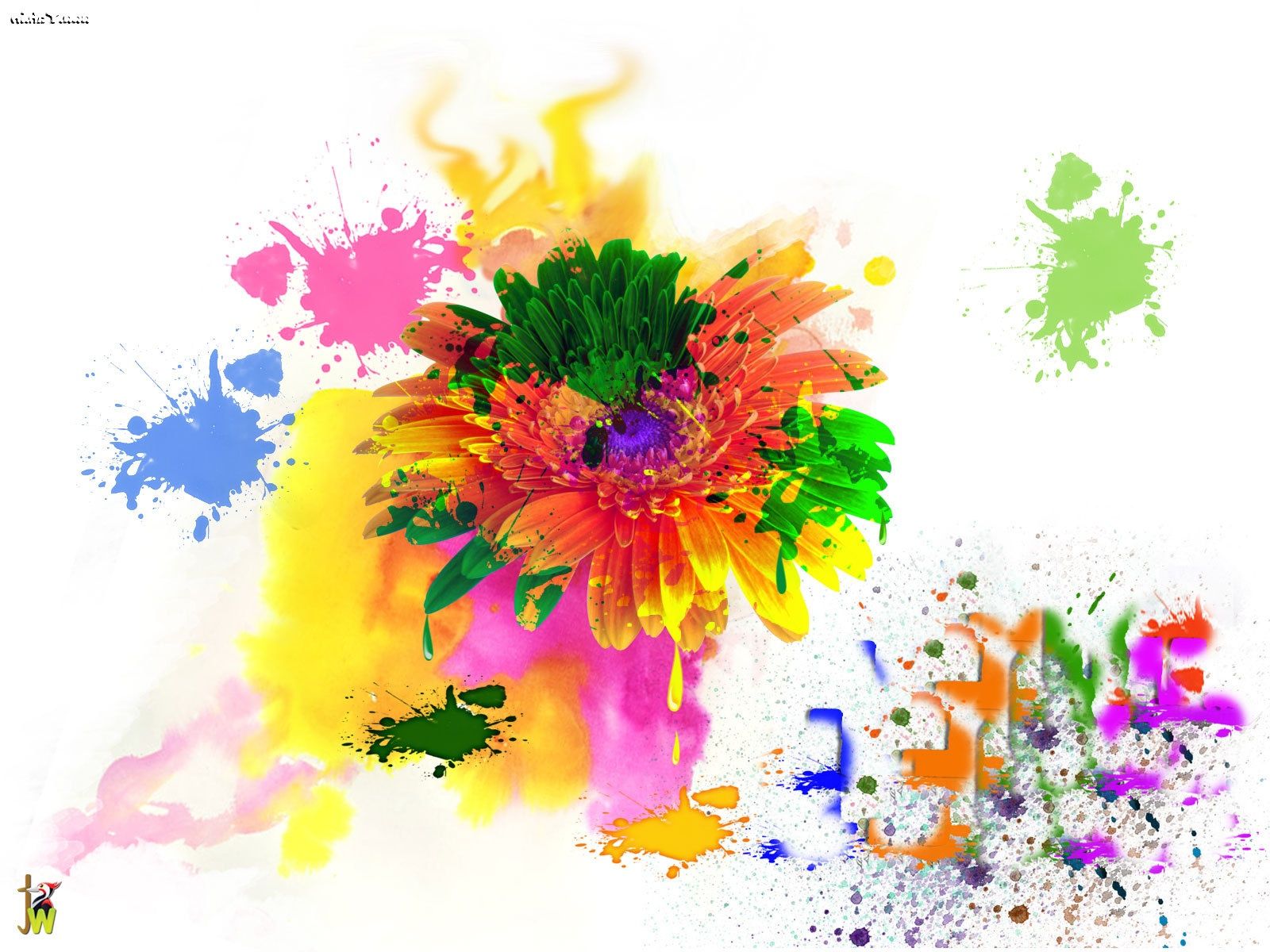 Holi Colours Wallpaper, image collections of wallpaper