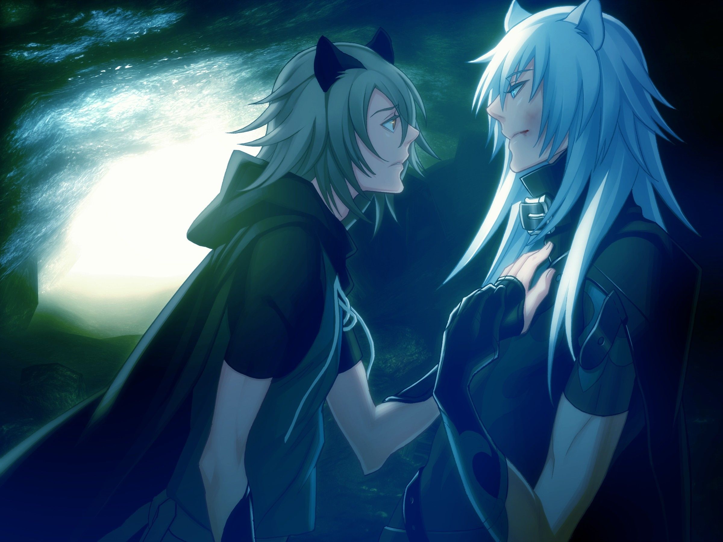 nekomimi yaoi boys lamento 2400x1800 wallpaper High Quality