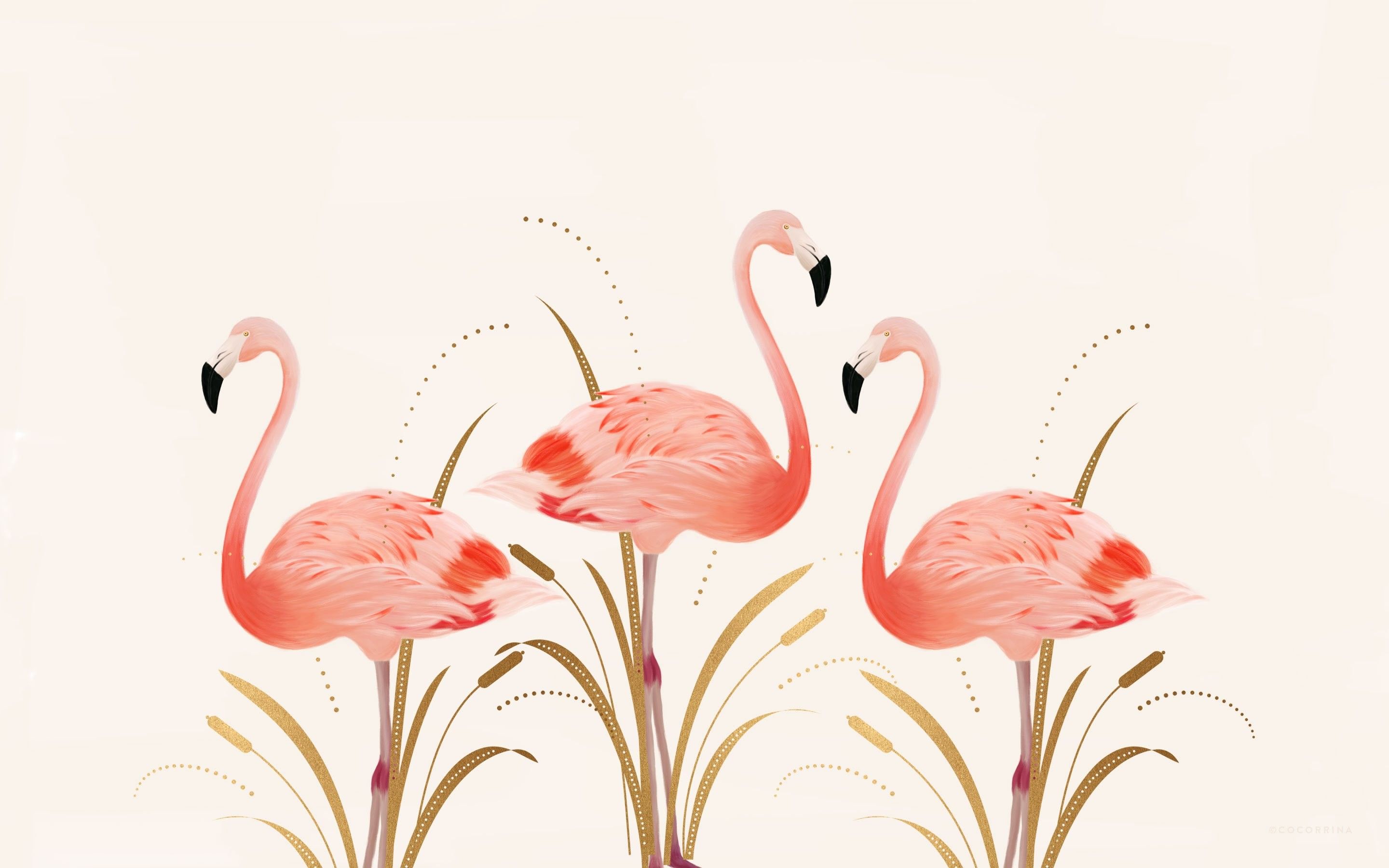 Flamingo Wallpaper HD Resolution Src Flamingo Wallpaper