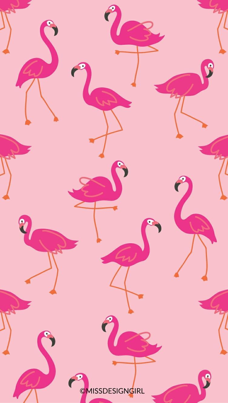 Flamingo Wallpaper - خلفيات فلامنغو Wallpaper