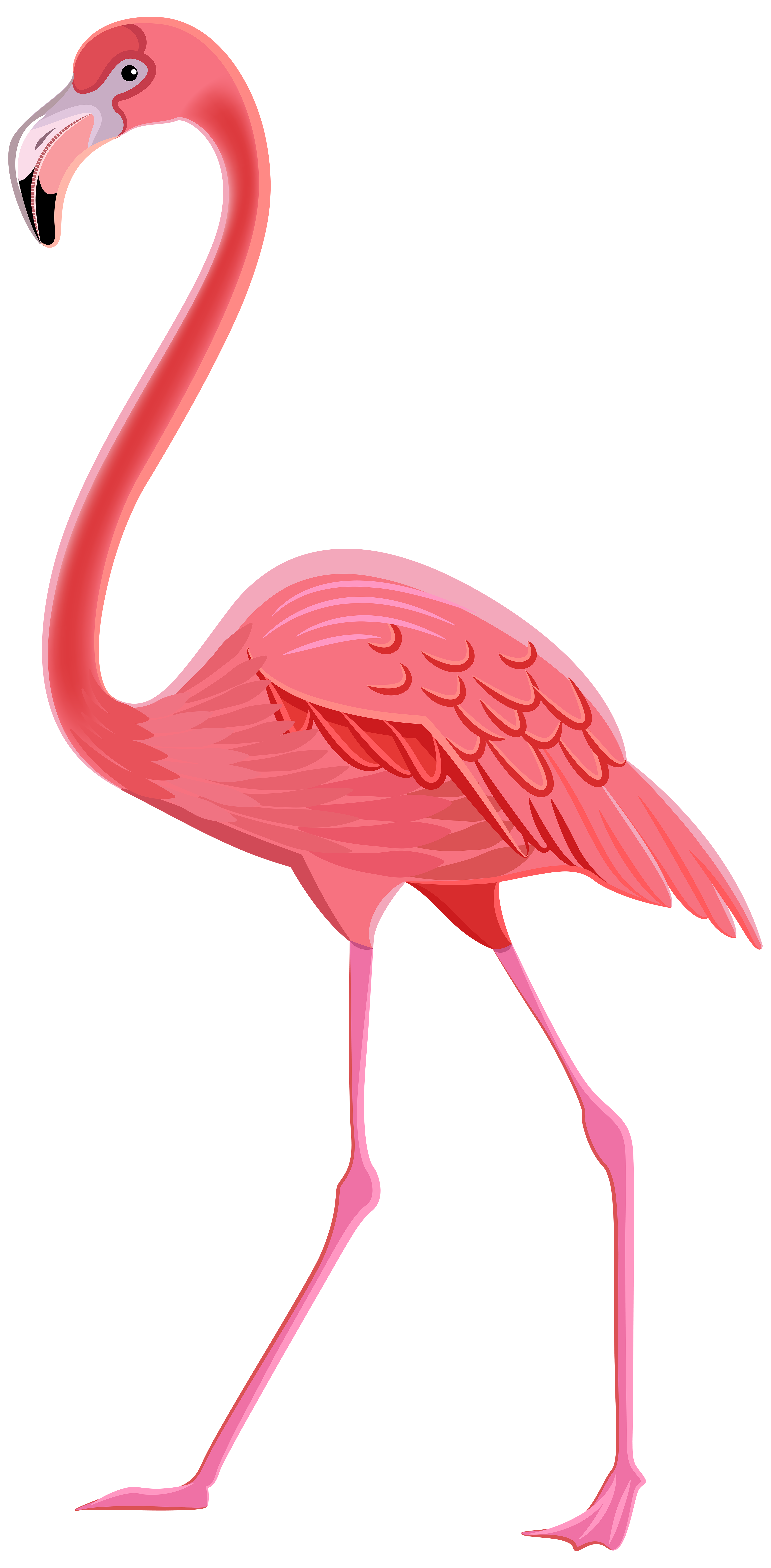 Flamingo PNG Transparent Clip Art Image
