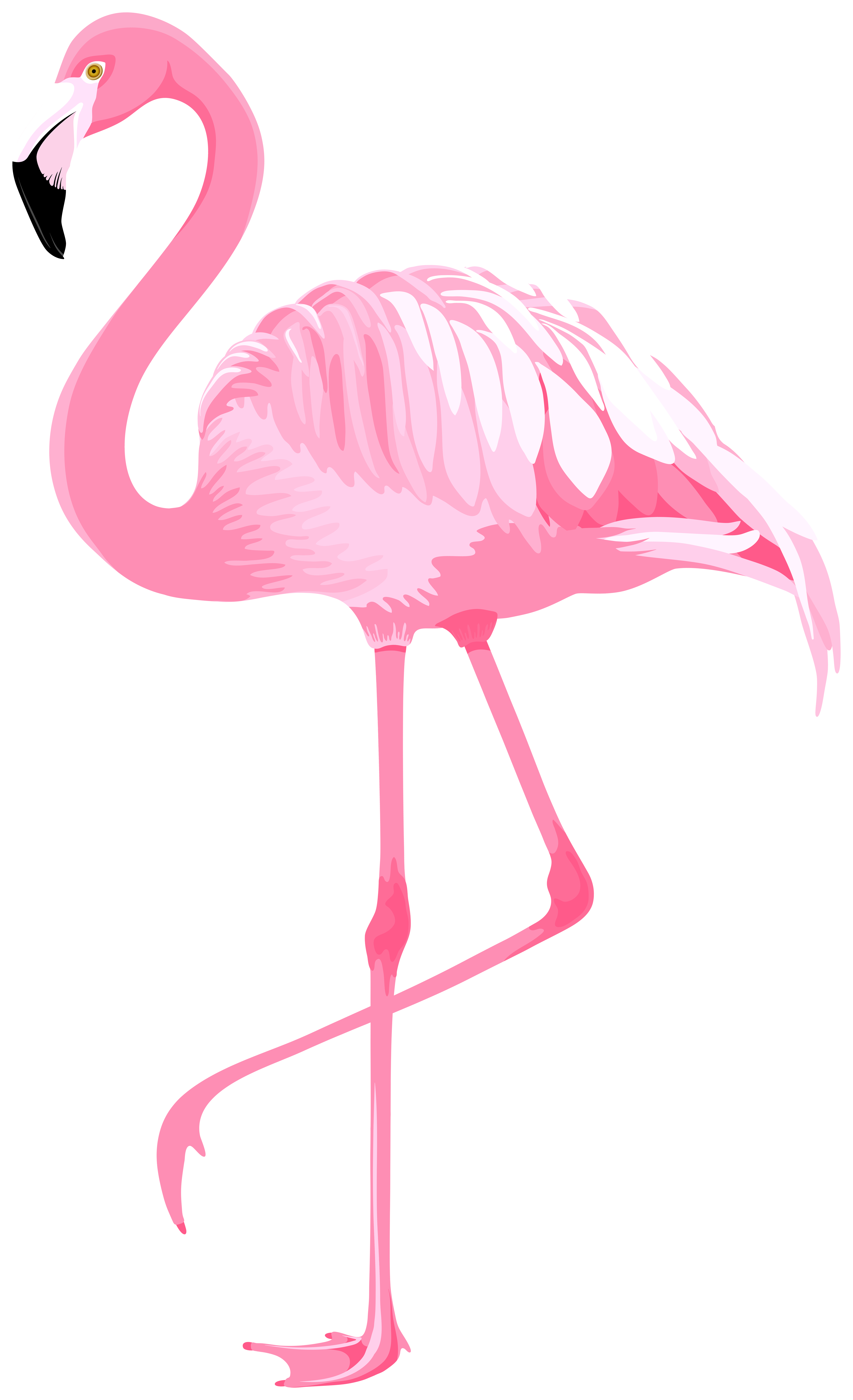 12 Ig Logo Transparent Background Images Reganmcintosh