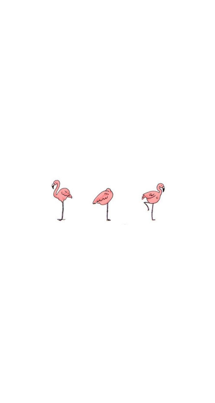 Pretty pink flamingos. Posters. Flamingo wallpaper, Simple