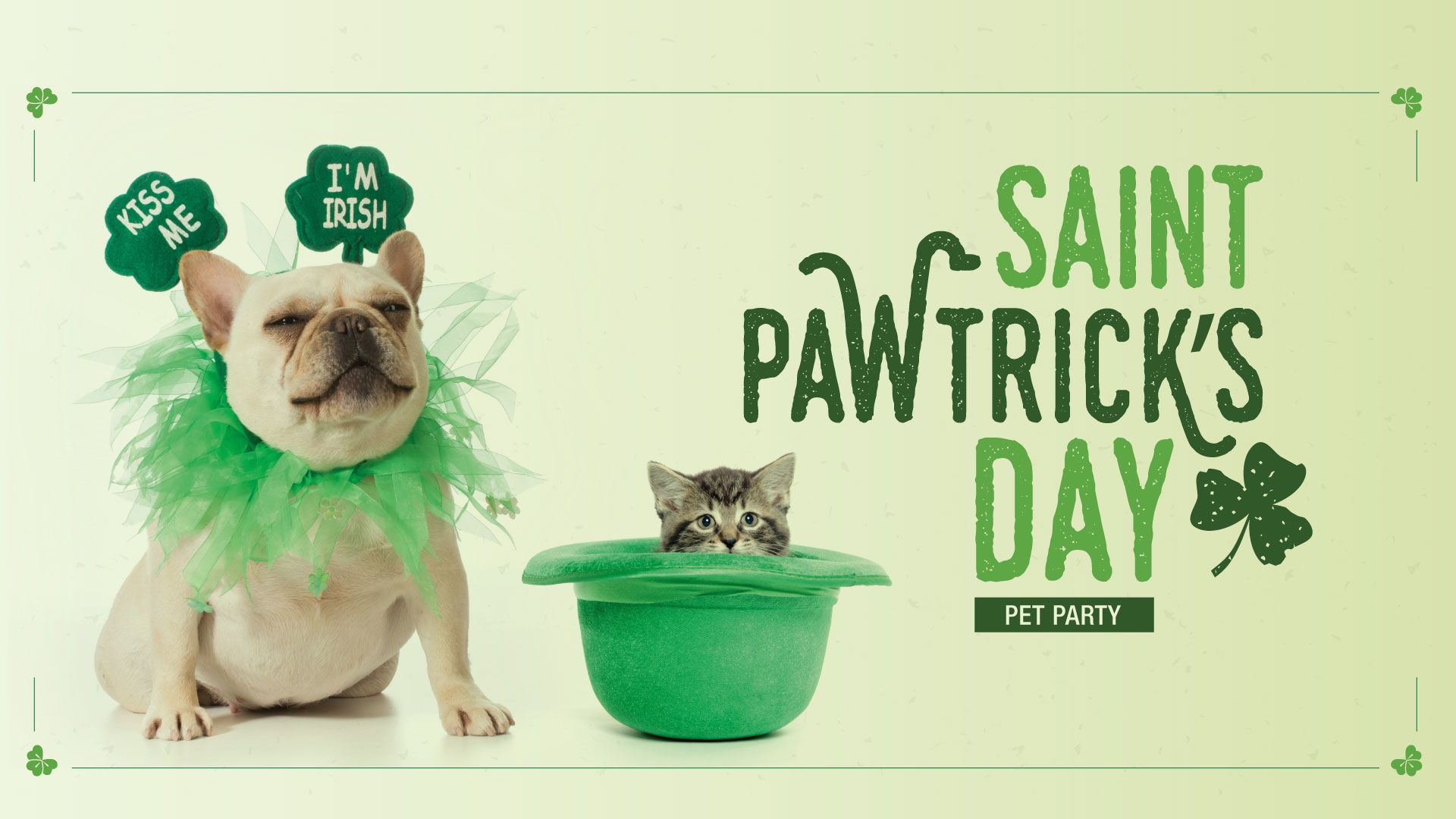 saint pattys day dog photos