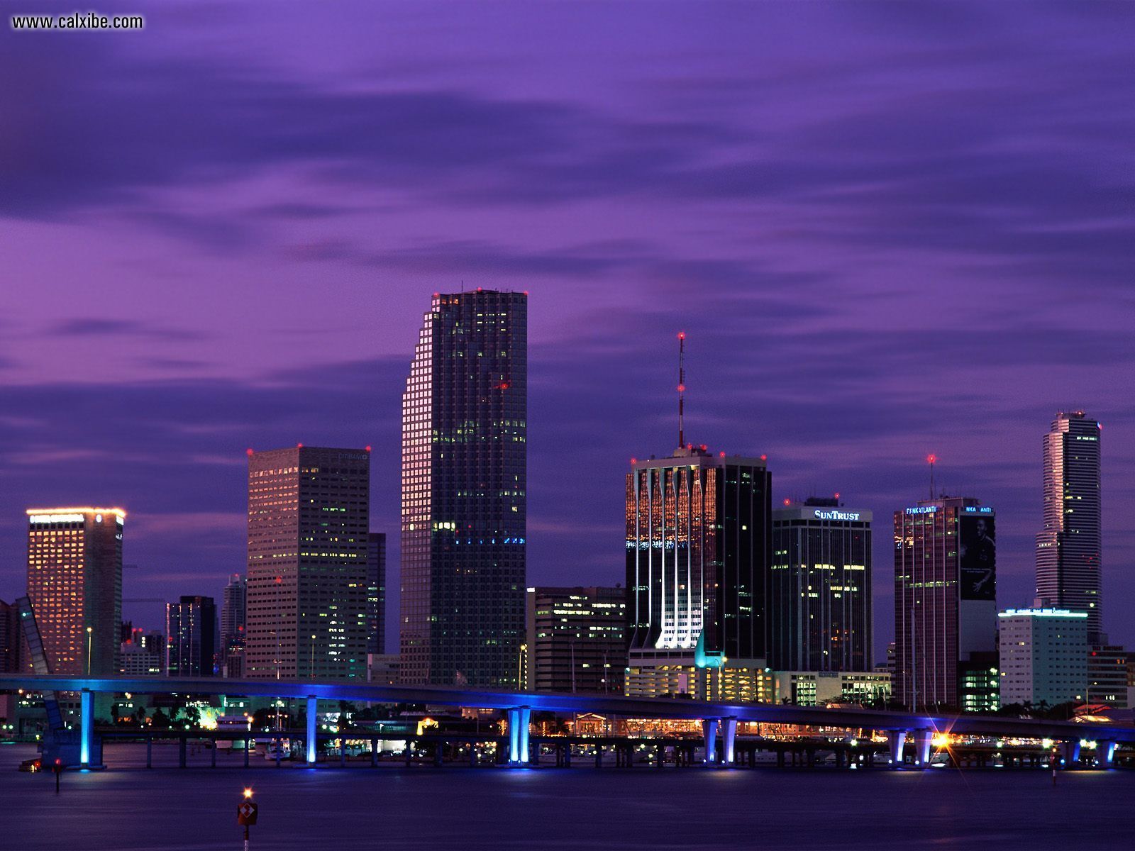 Buildings & City: Miami Nights Florida, picture nr. 7012