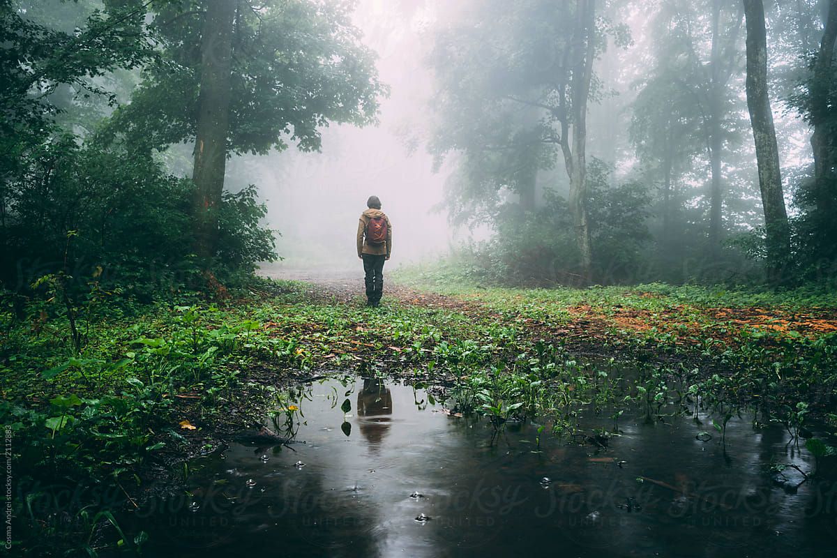 Man in mysterious foggy forest with lake