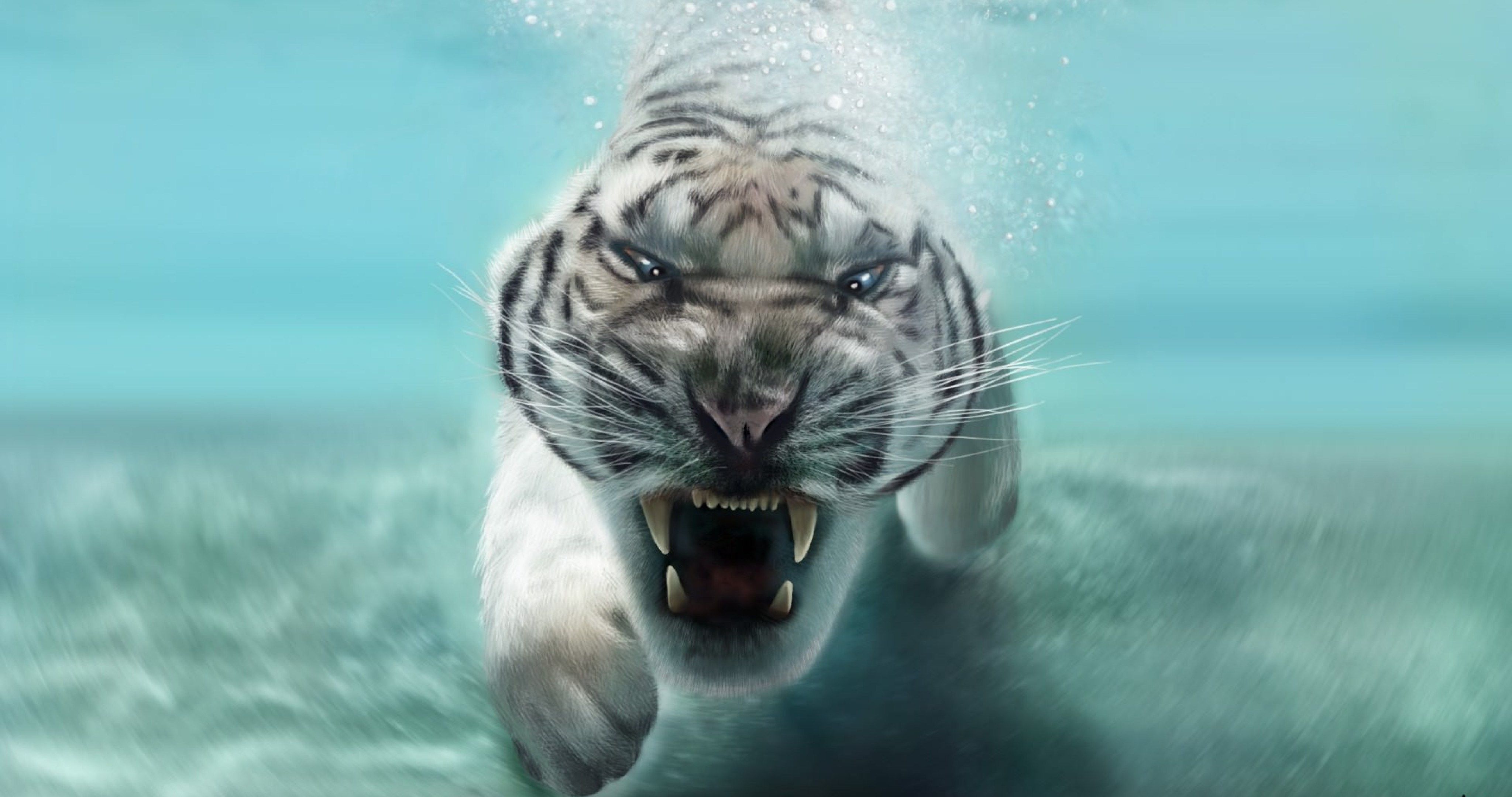 Ultra Hd Wallpapers 4k Tiger, Hd Wallpapers & backgrounds Download