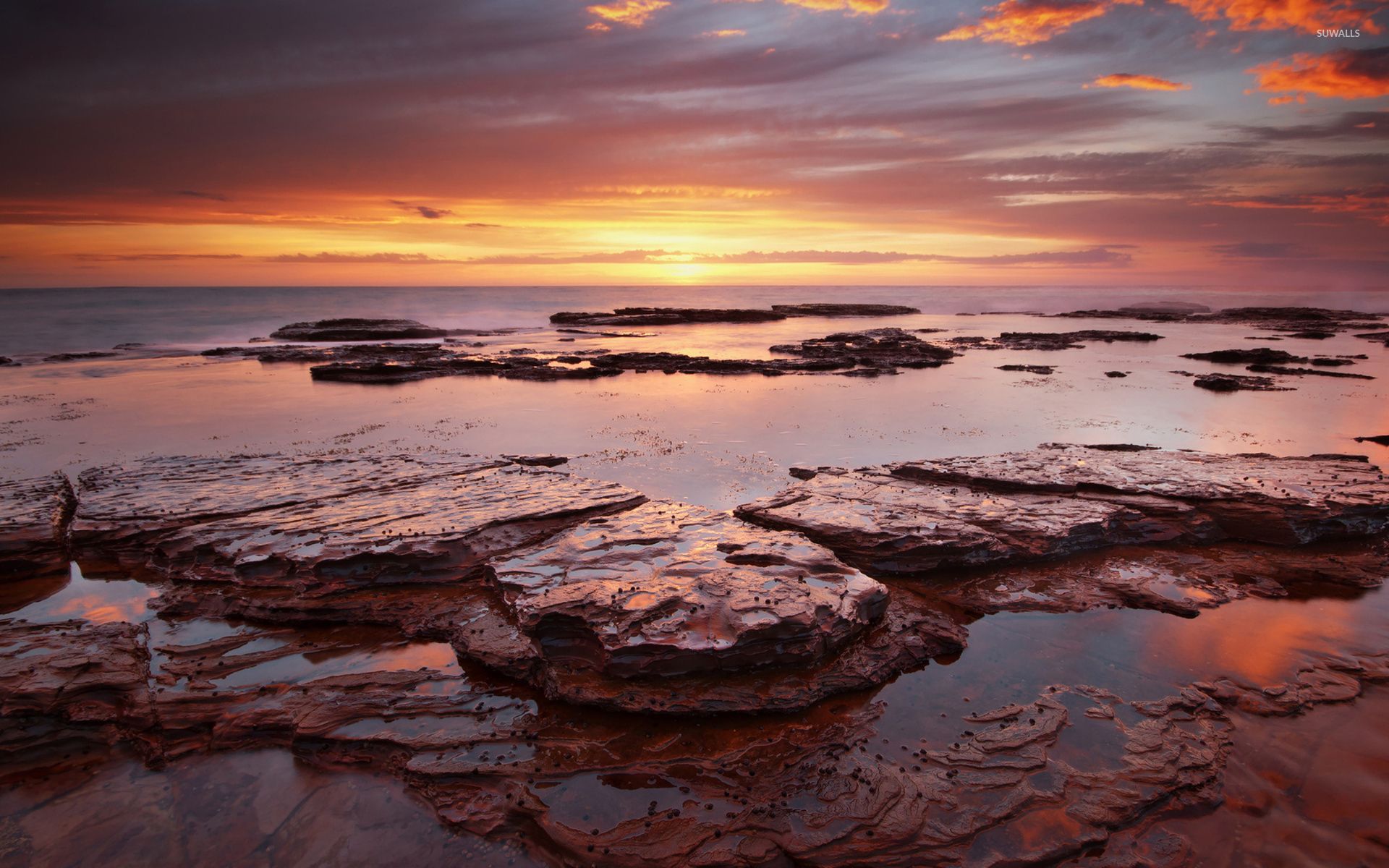 Amazing sunset reflecting in the wet rocky beach wallpaper