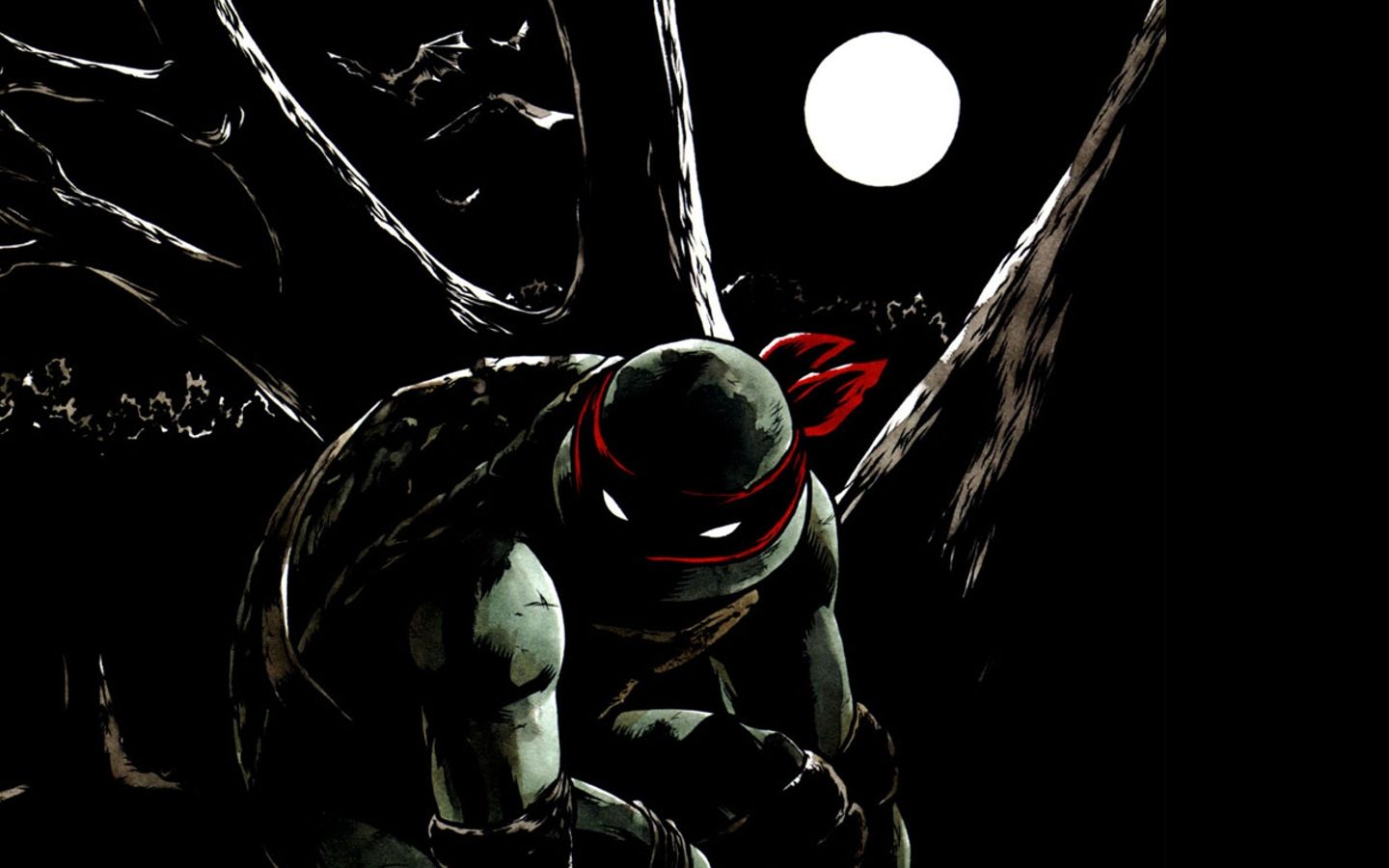 Teenage Mutant Ninja Turtles, raphael wallpaper
