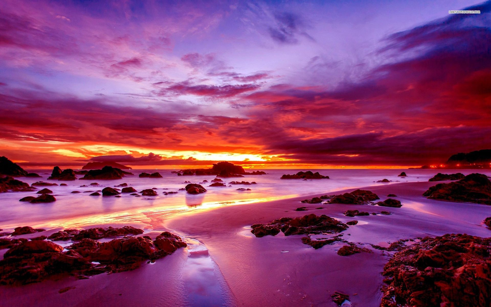 Purple Sunset on Rocky Beach wallpaper. nature and landscape