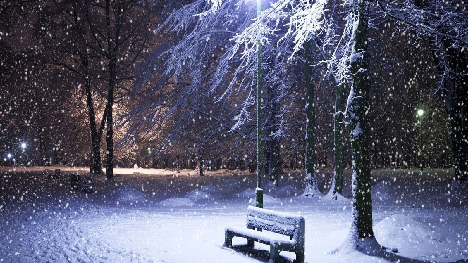 Free download Wallpaper Winter park wallpaper [1600x1200]