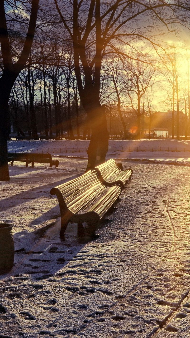 Download wallpaper 800x1420 winter, park, sunset, bench, snow, sun