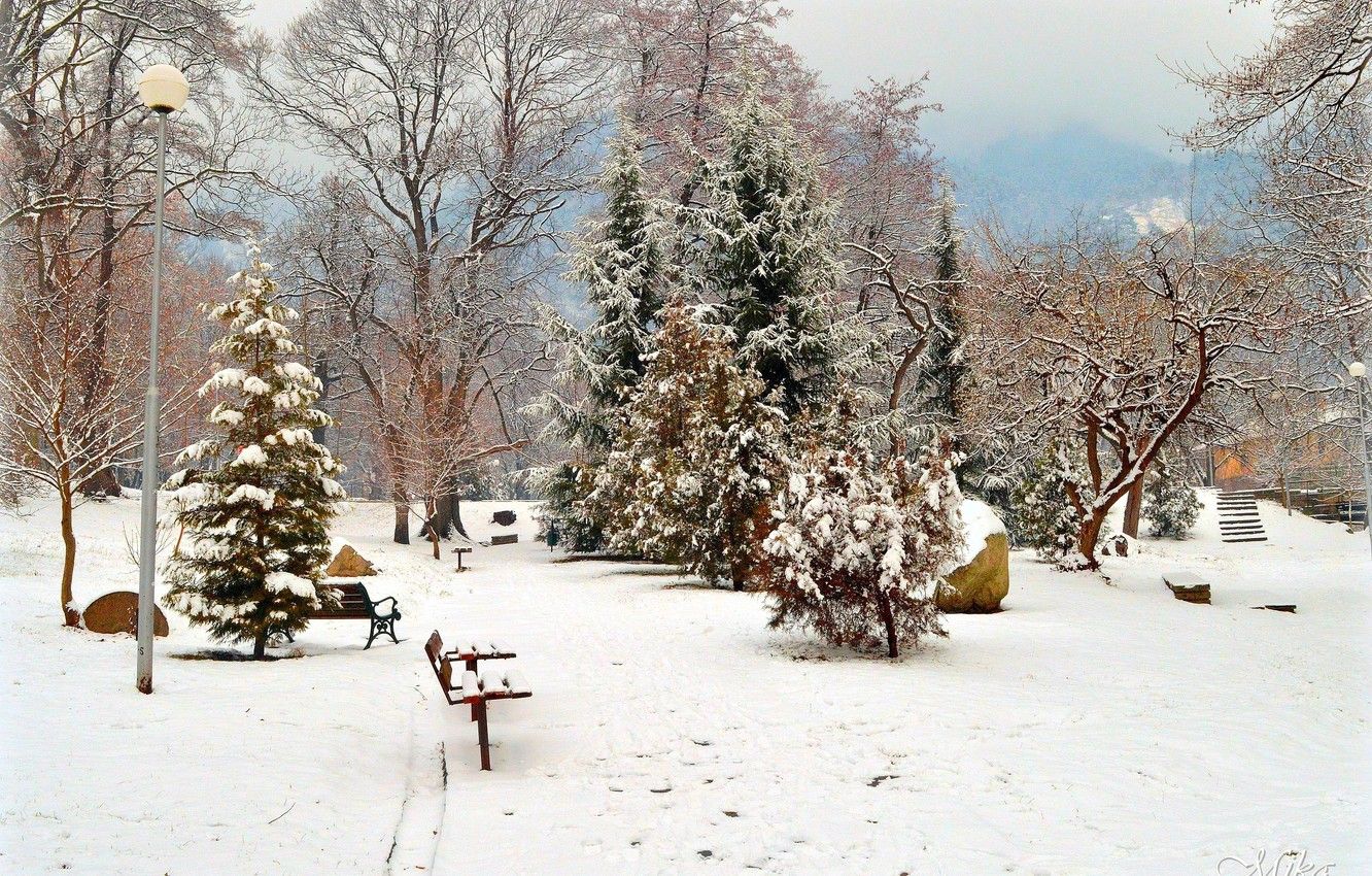 Wallpaper Winter, Snow, Park, Winter, Park, Snow image