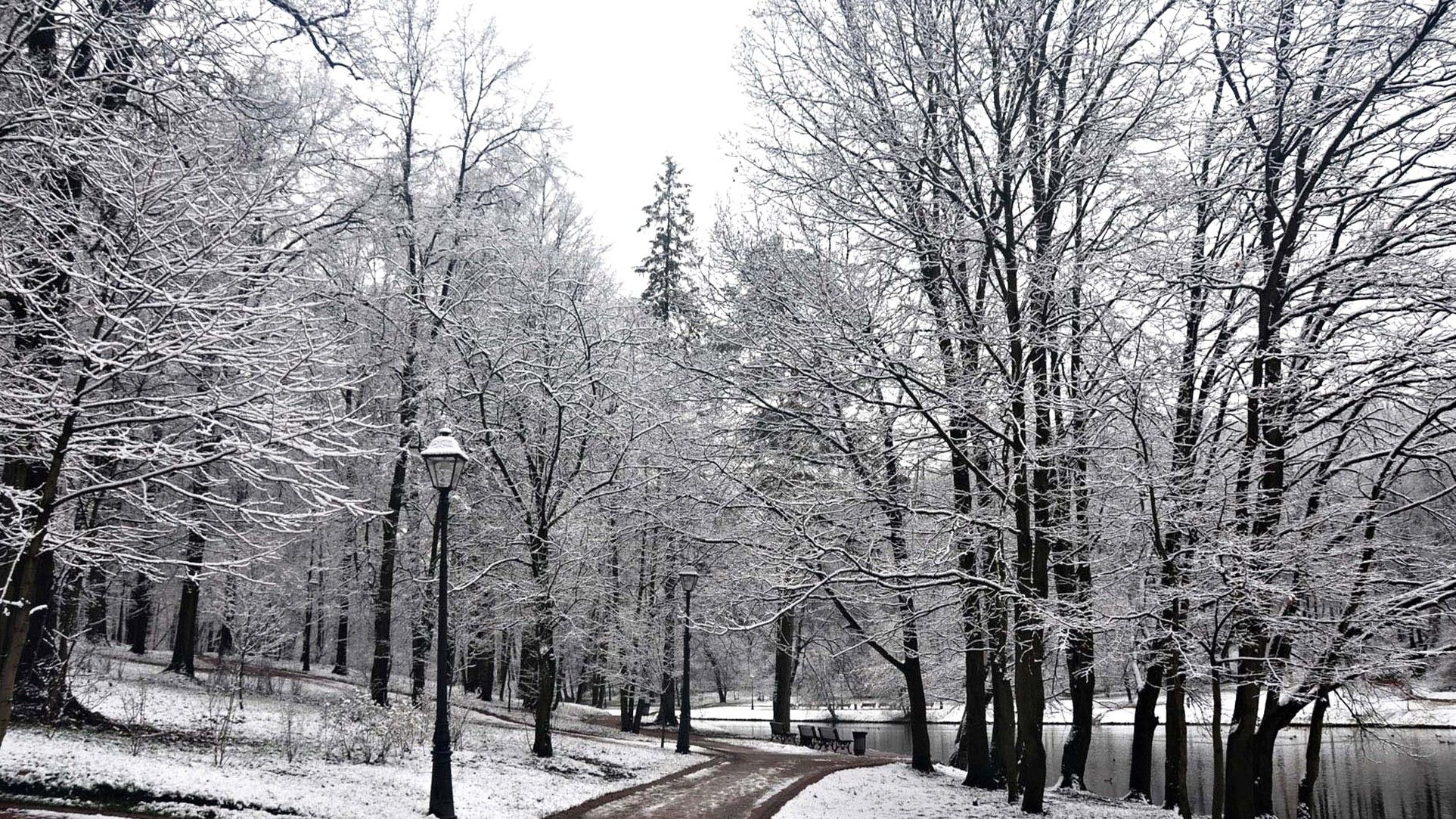 Winter, Park, White, Cool Nature Wallpaper, Amazing Landscape