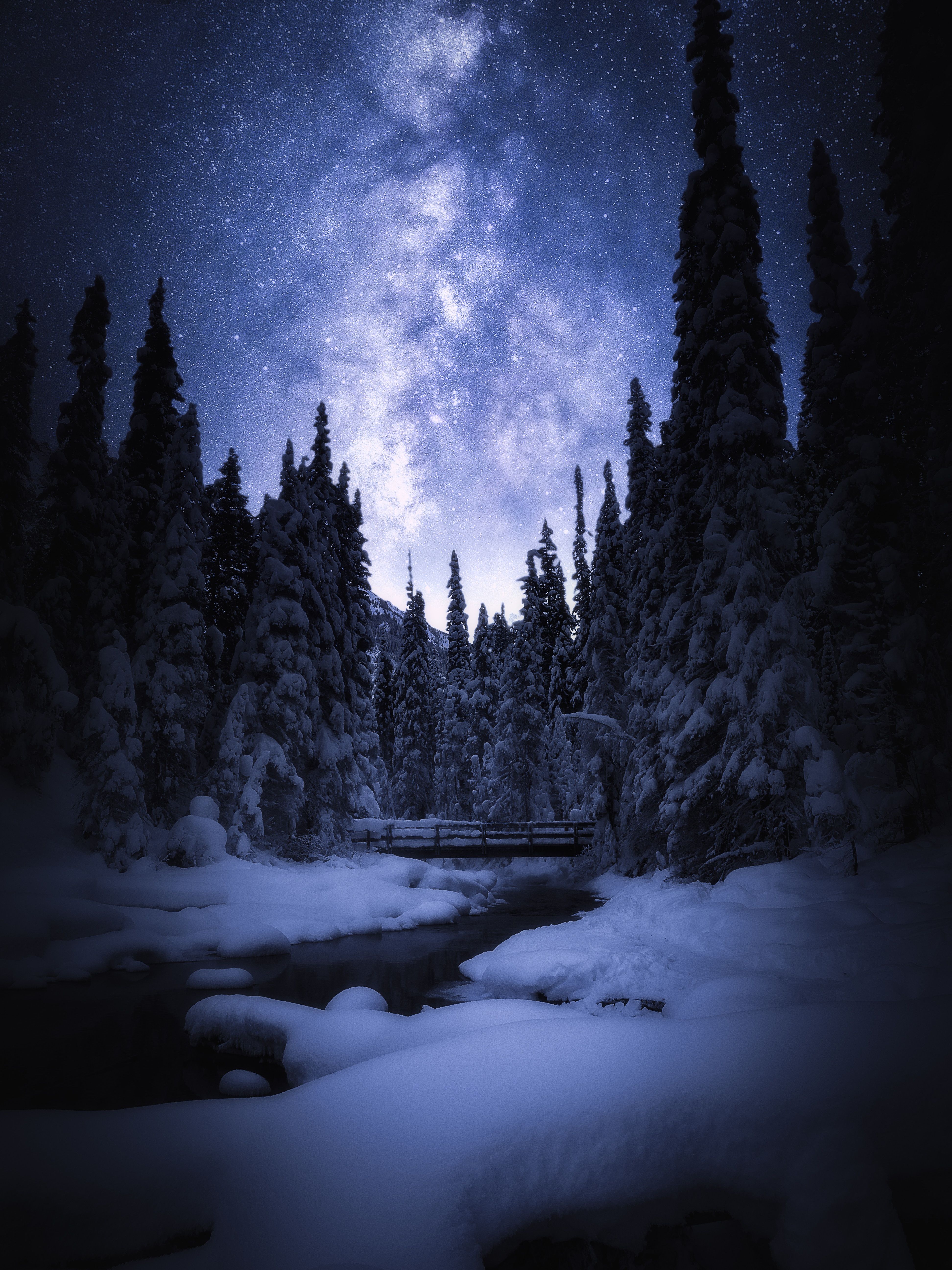 Wallpaper Starry sky, Night, Banff National Park, Winter, Pine