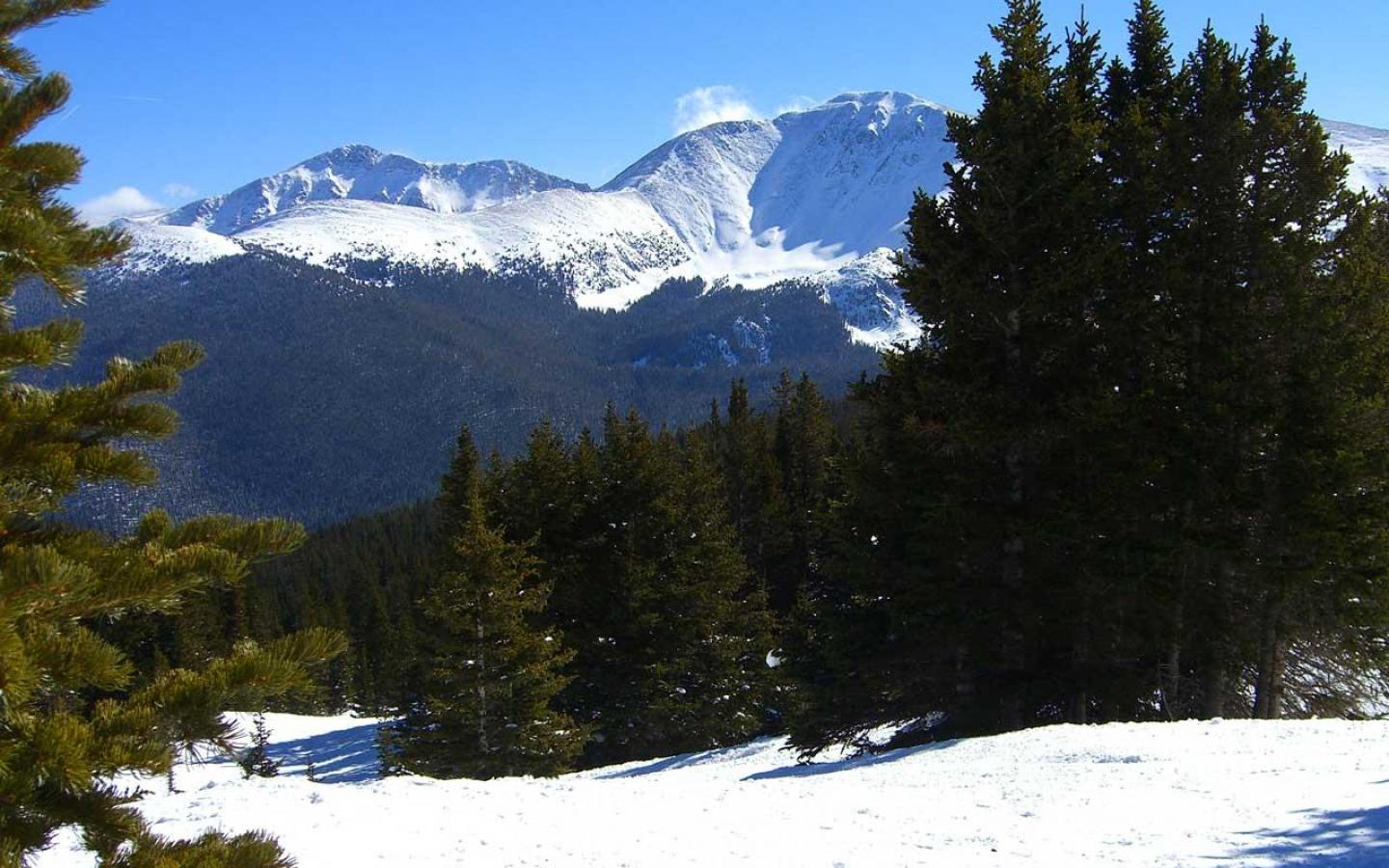 Winter Park Wallpapers - Wallpaper Cave