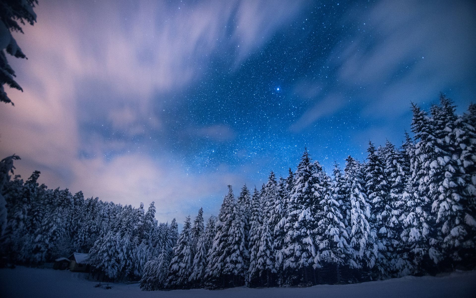 Download 1920x1200 Trees Stars Night Snow Winter forest sky clouds