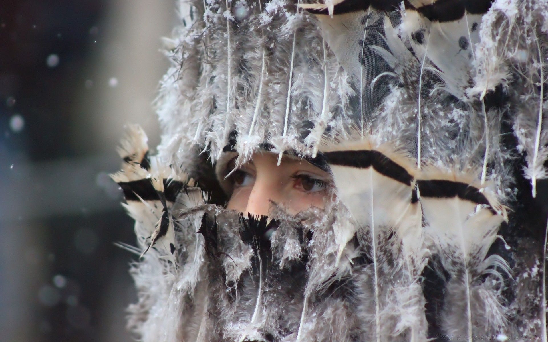 International Festival of mummers Surva, Bulgaria