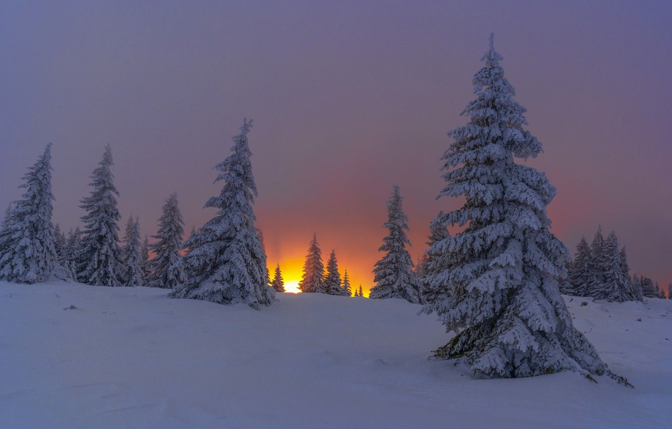 Wallpaper winter, snow, trees, landscape, sunset, nature, mountain