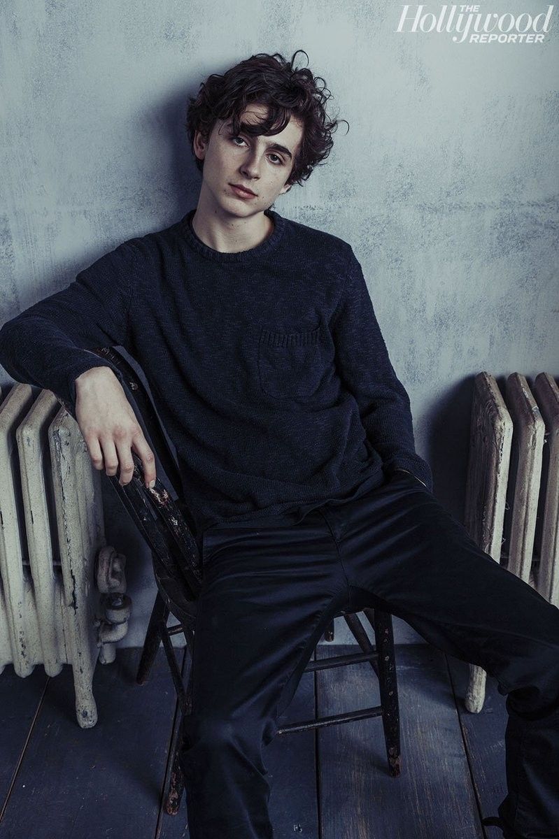 Timothee Chalamet Aesthetic Wallpapers - Wallpaper Cave