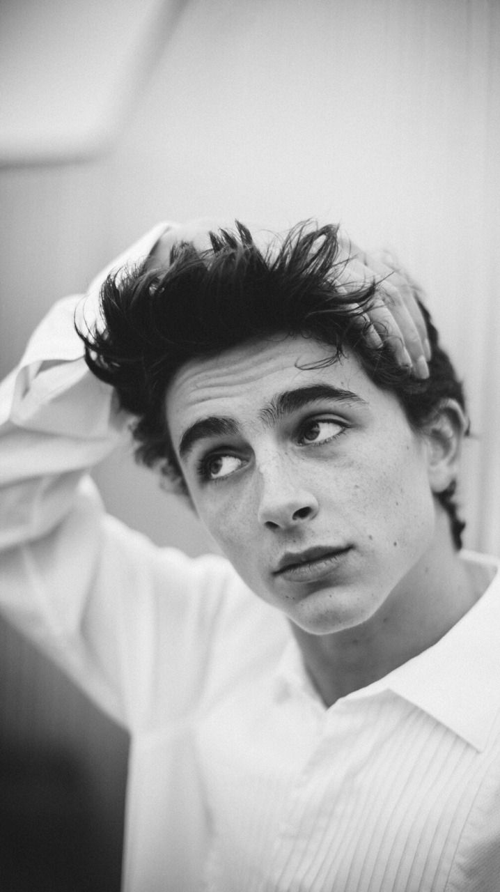 Timothee Chalamet Aesthetic Wallpapers - Wallpaper Cave