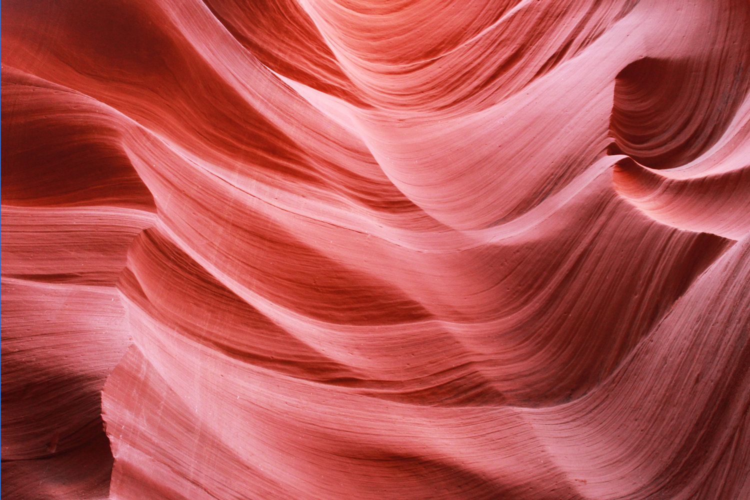 Microsoft Desktop Wallpaper