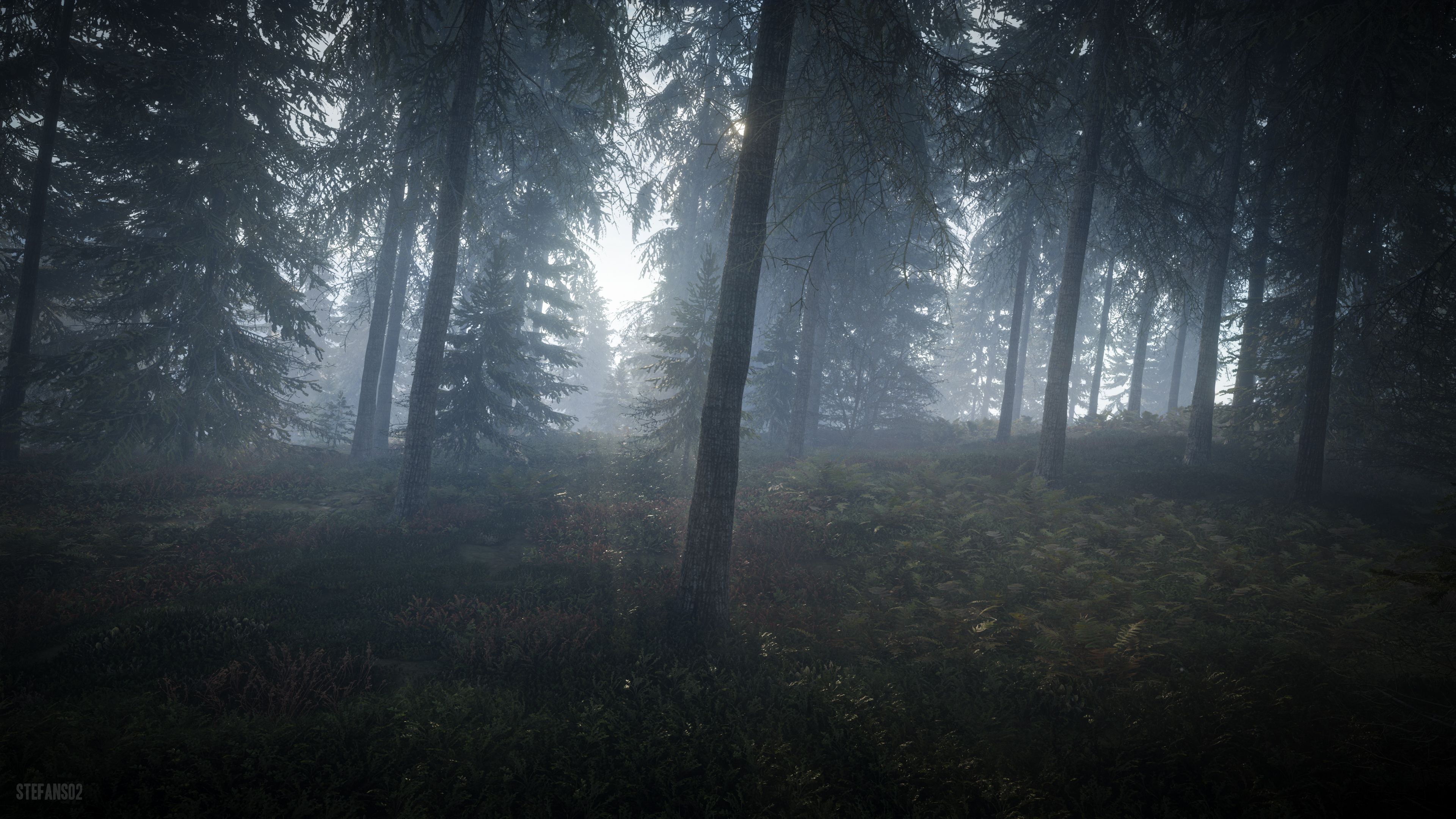TheHunter: Call of the Wild / Misty Forest 4k Ultra HD Wallpaper