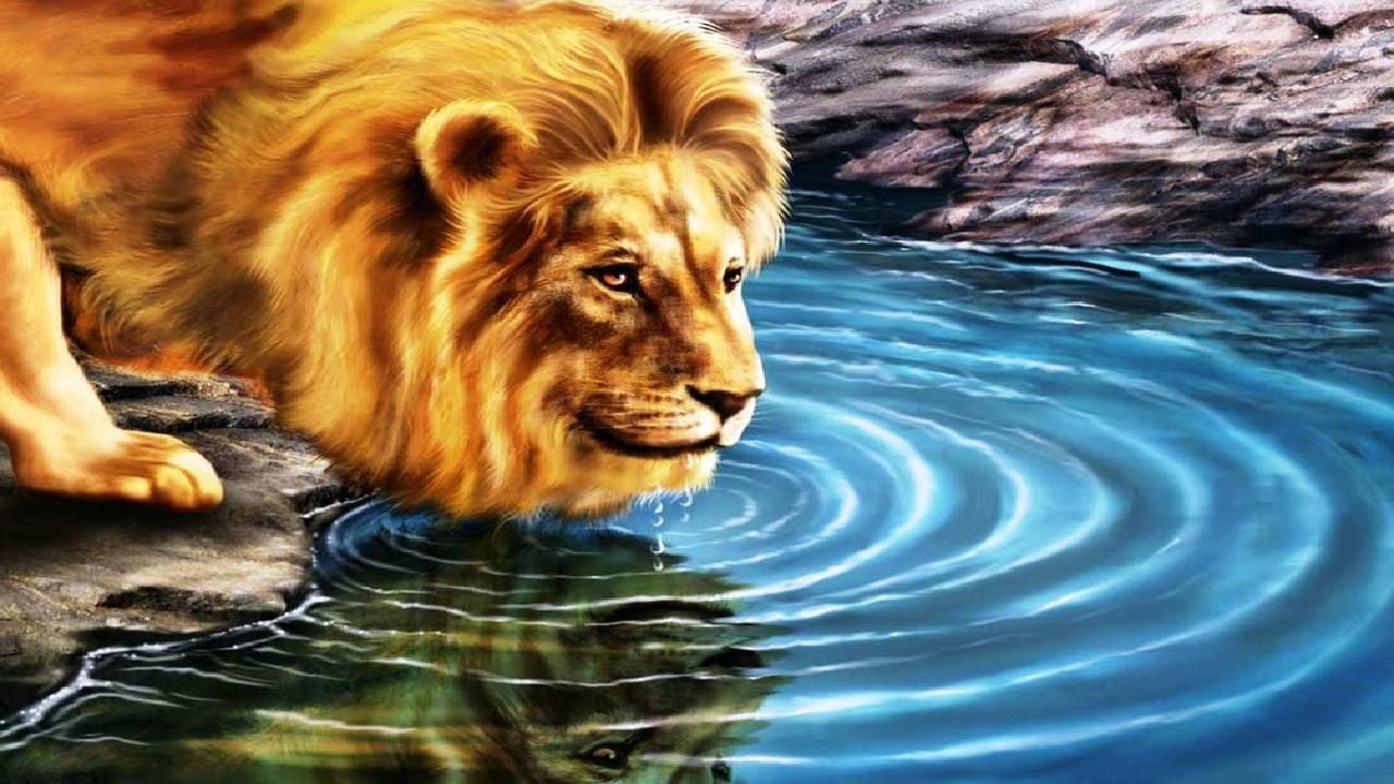 Thirsty Lion 3D HD Wallpaper. Animal wallpaper, Lion wallpaper